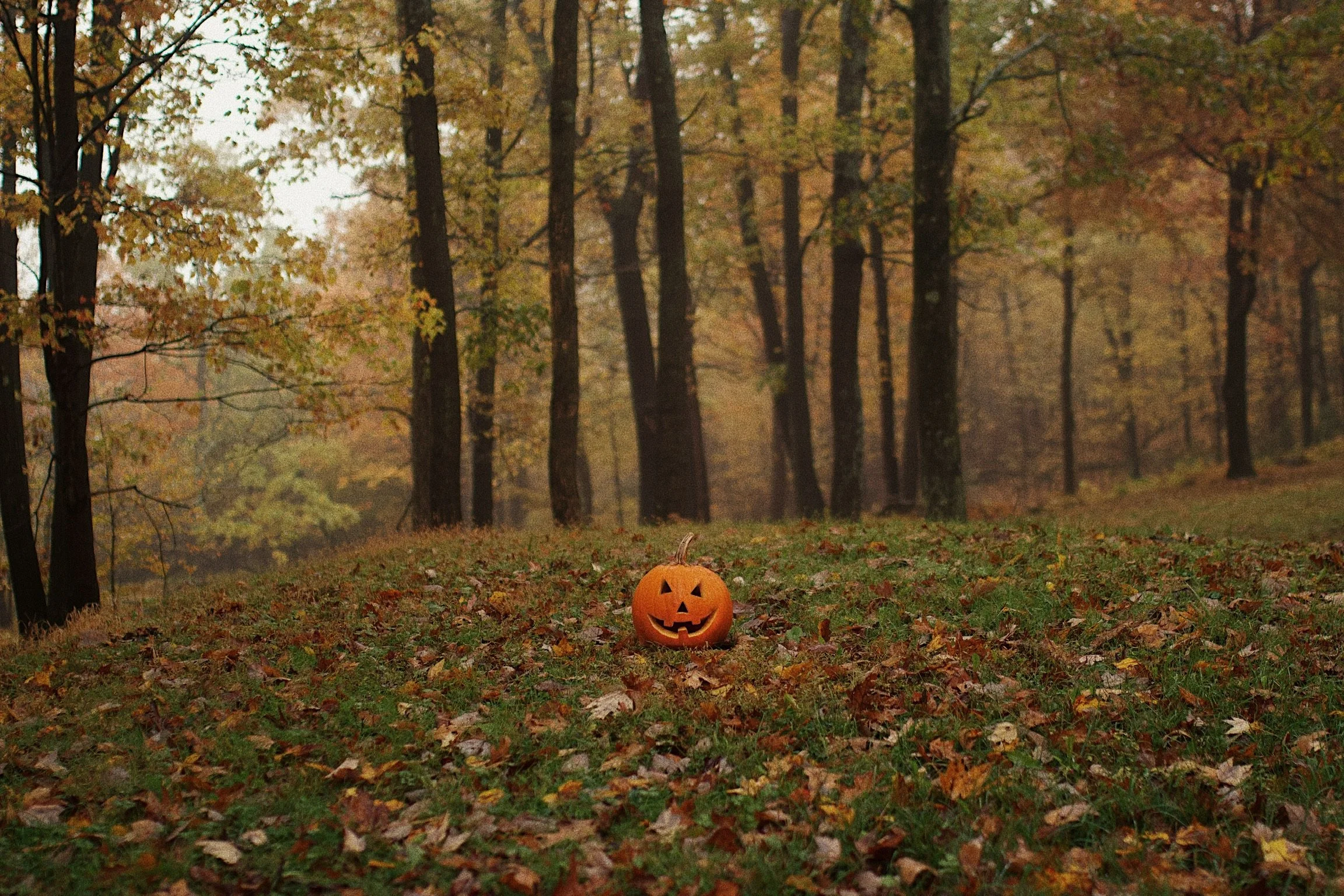 A carved pumpkin with a smiling face sitting on a forest floor covered with fallen leaves during autumn.