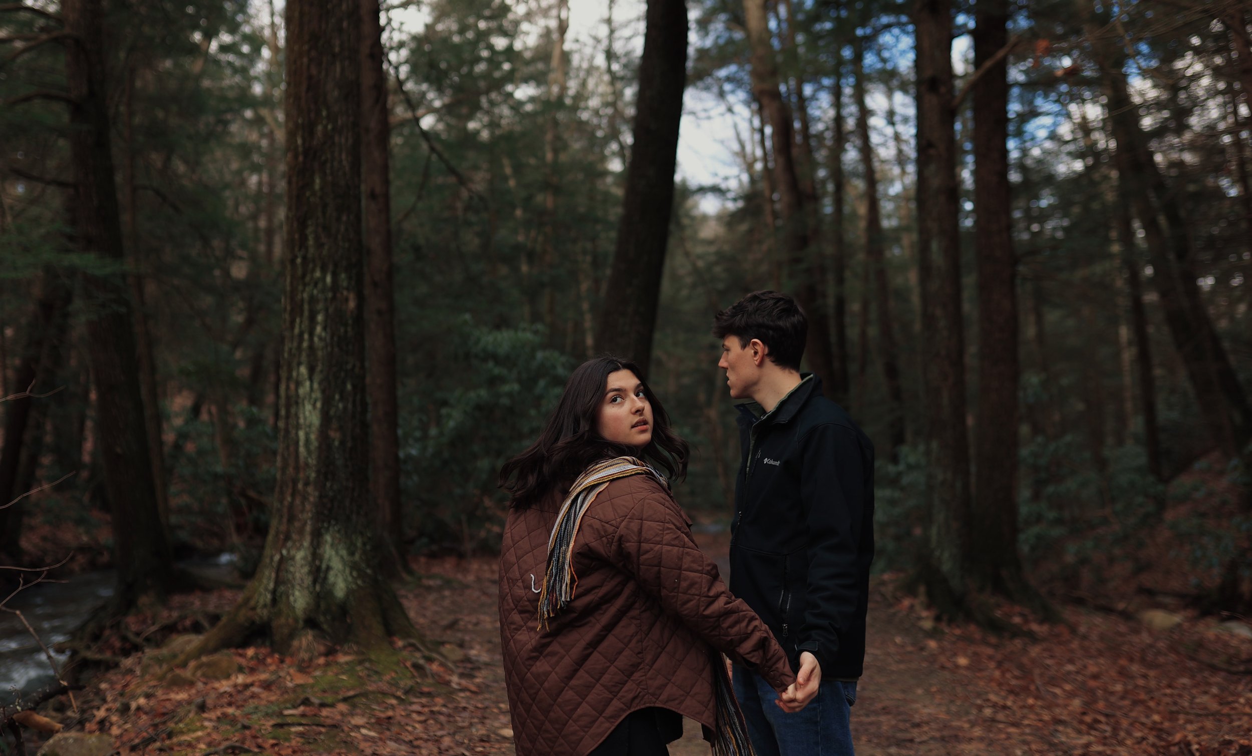 A young couple holding hands in a forest during autumn, surrounded by tall trees and fallen leaves.