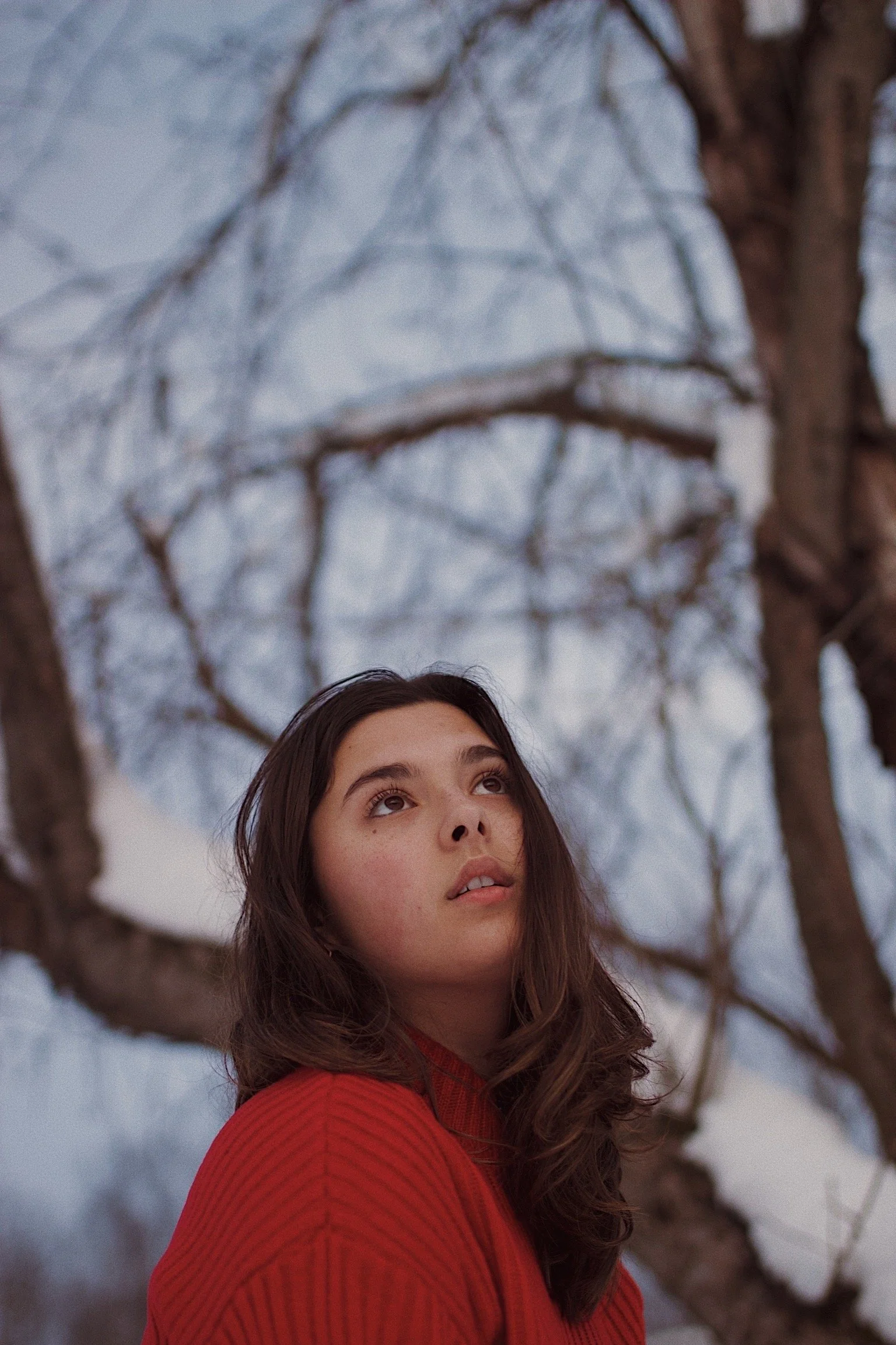 A young woman with long brown hair wearing a red sweater, looking up outdoors near a large tree with snow on its branches.