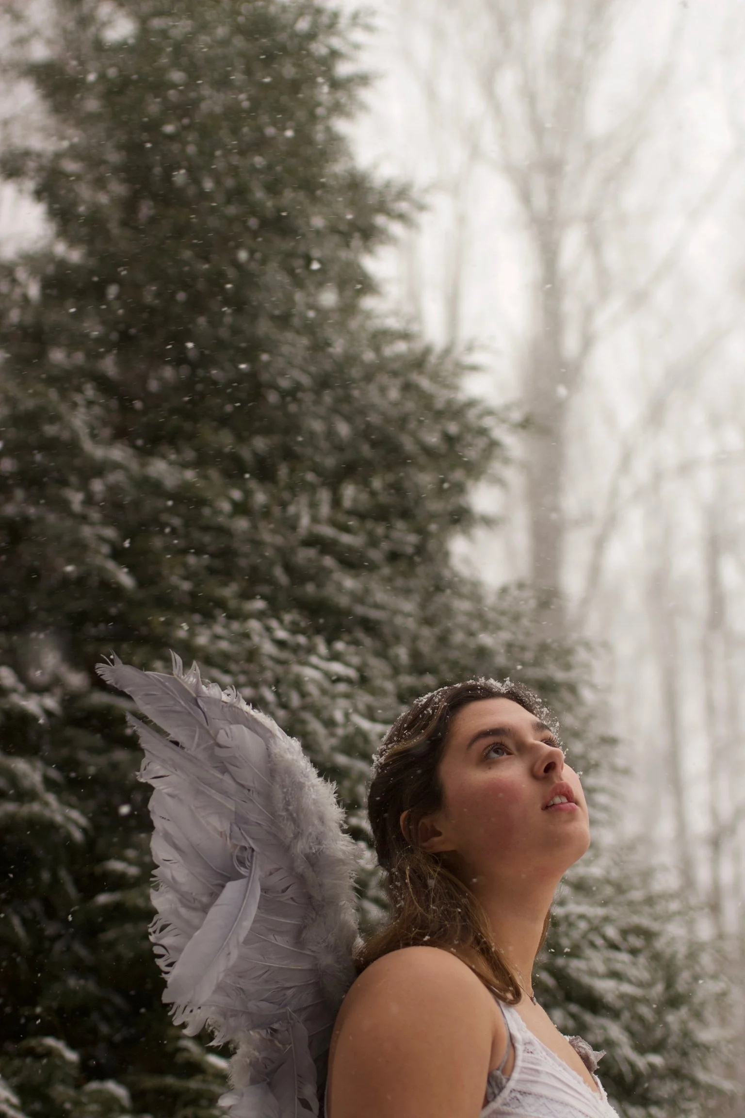 A young woman with feathered wings stands in a snowy forest, looking upward as snow falls around her.