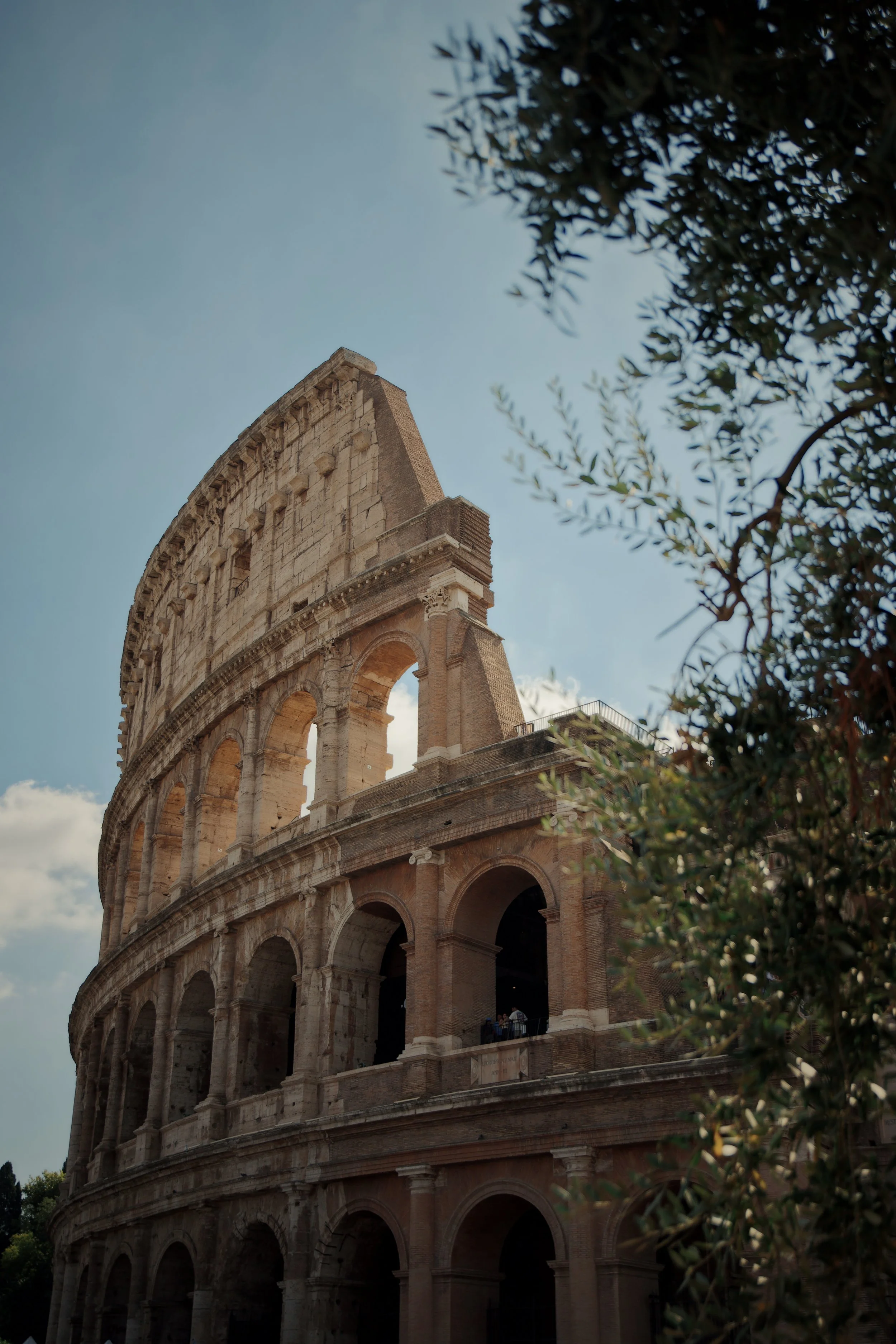 ASPItalyPrint10.jpg