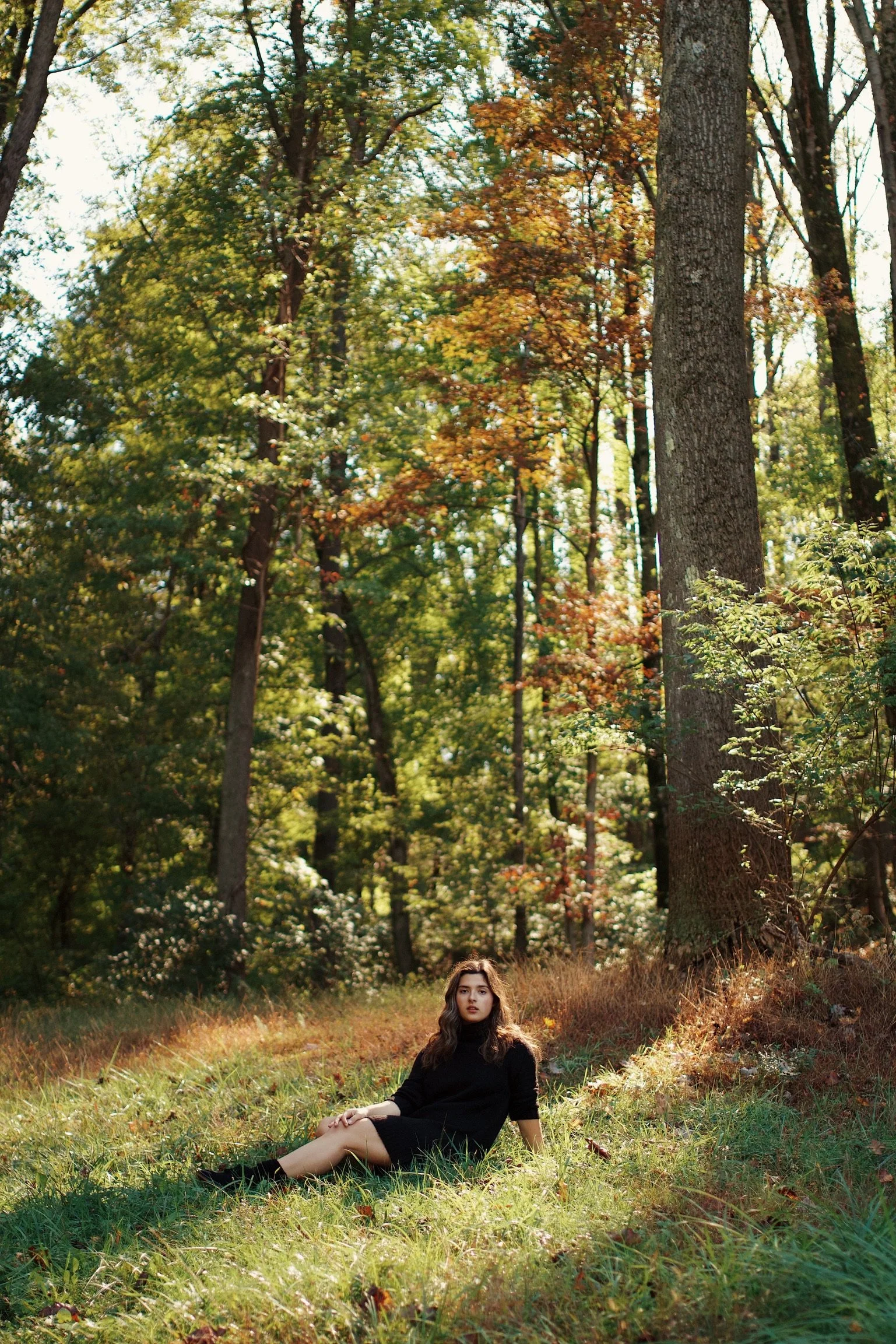 A woman in a black outfit sitting on grass in a forest during daylight with tall trees and colorful fall foliage.