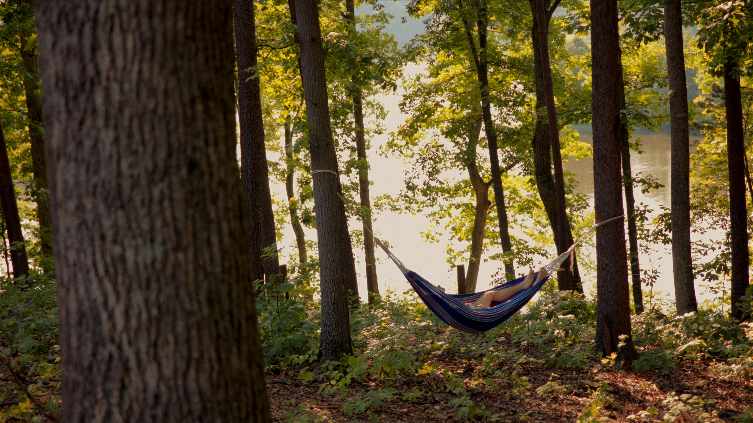 Screenshot 2024-07-23 at 2.52.38 PM.png