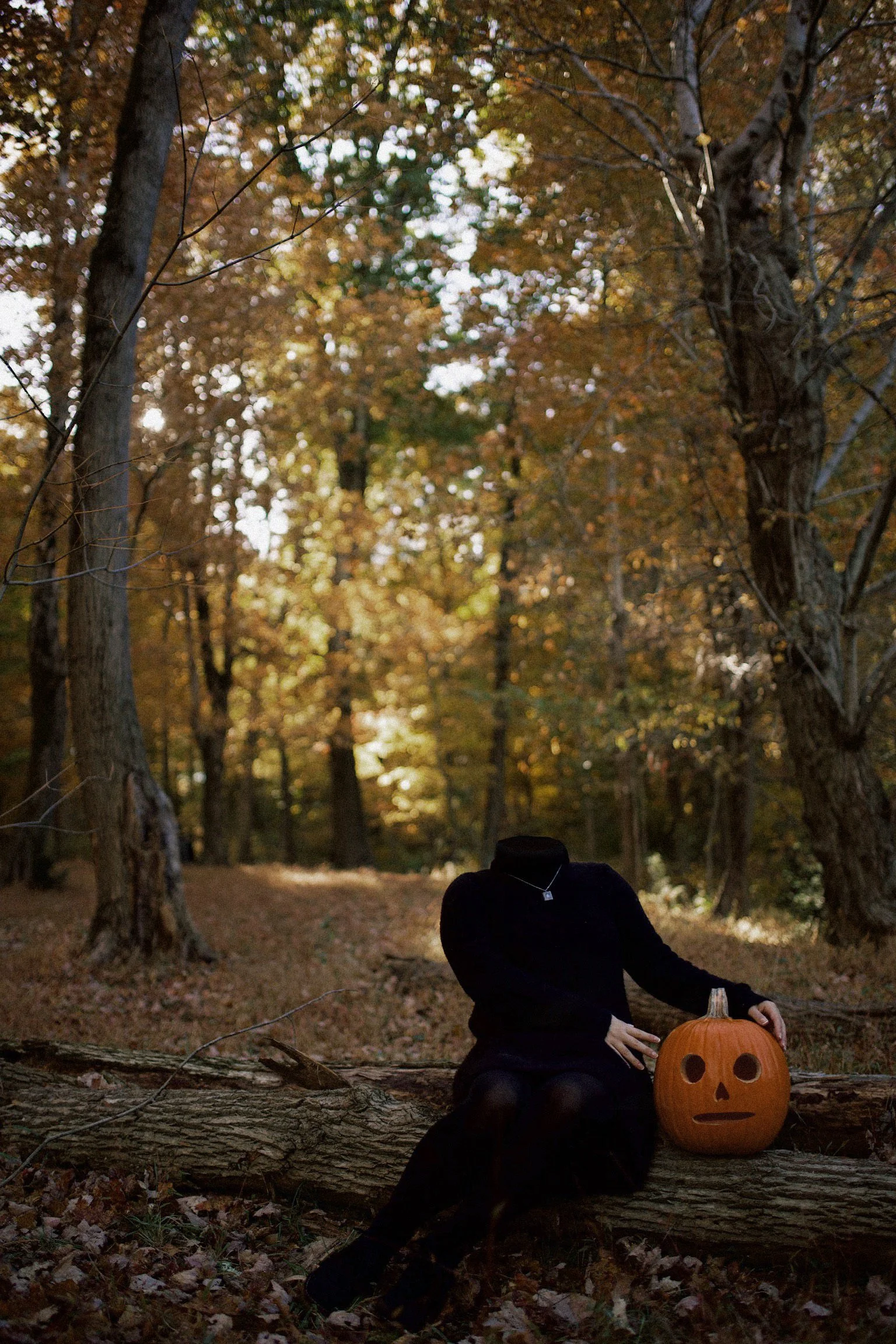 A person with no head in a black dress and a silver necklace sitting on a fallen tree in a forest with autumn leaves, holding a carved pumpkin Halloween decoration.