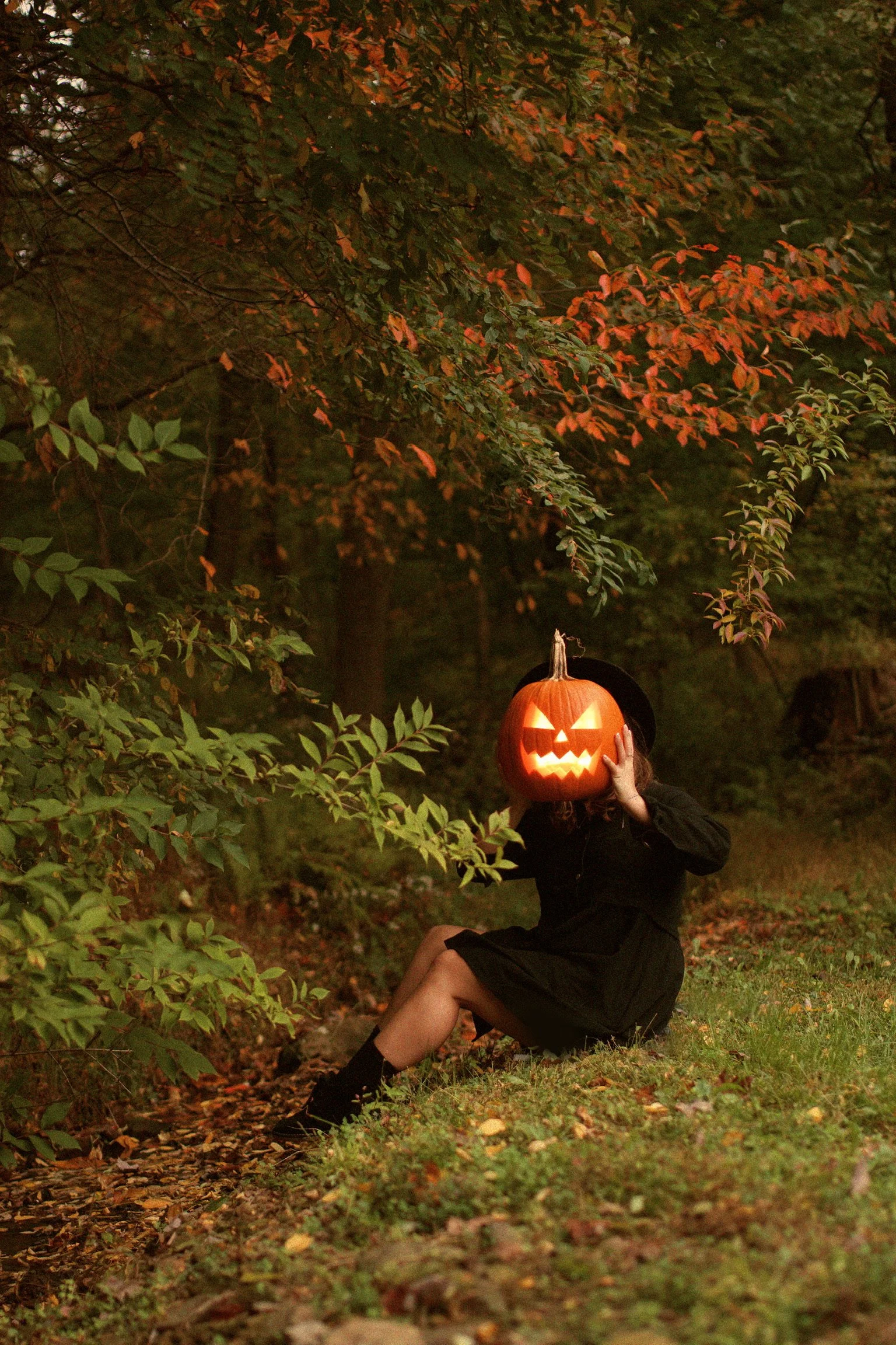 A person wearing a black dress and black shoes sitting on the ground in a forest clearing during autumn, holding a carved pumpkin with a lit jack-o'-lantern face over their head, obscuring their face from view.