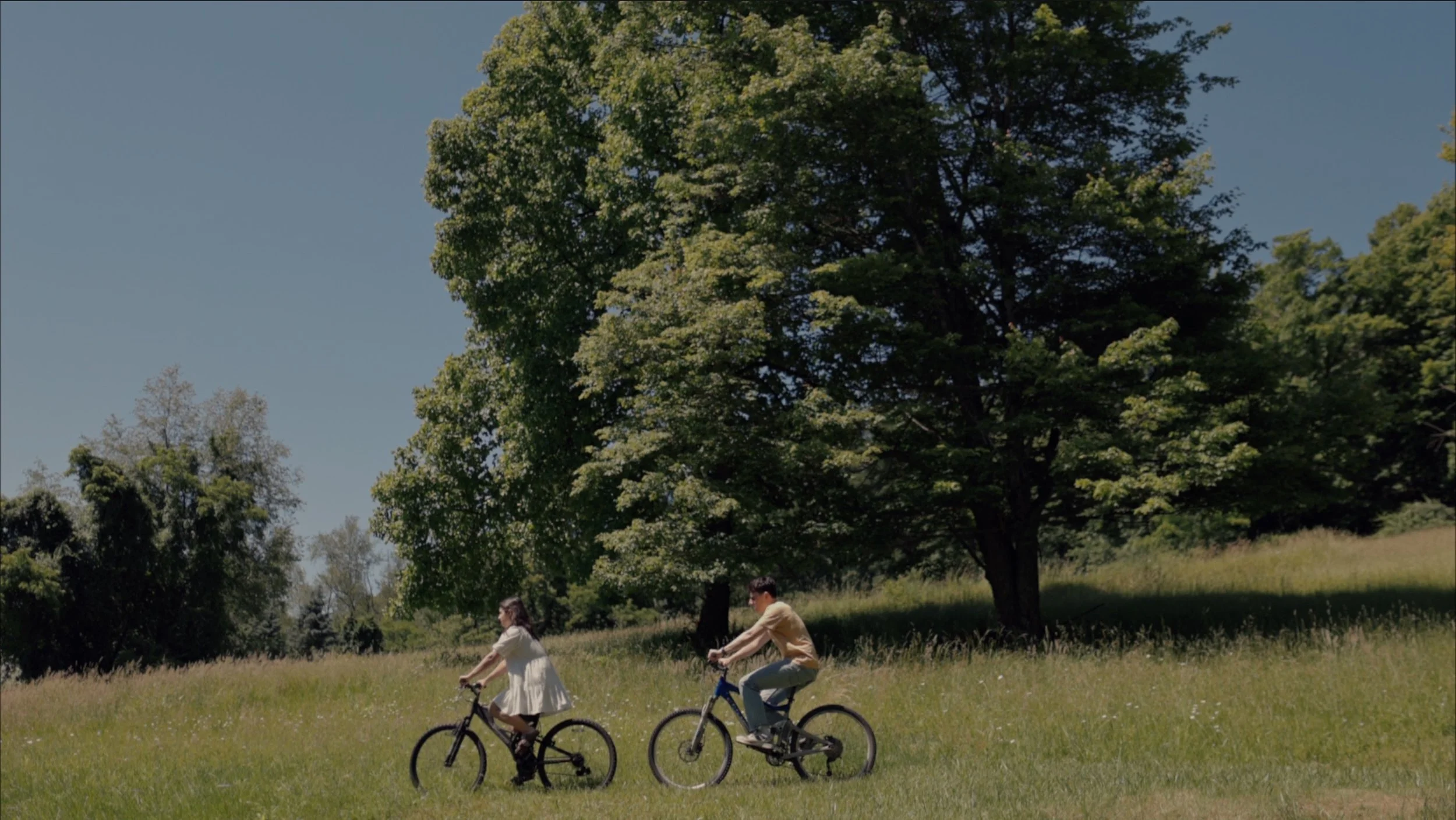 Two kids, a girl and a boy, riding bikes through a grassy field on a sunny day with large green trees in the background.