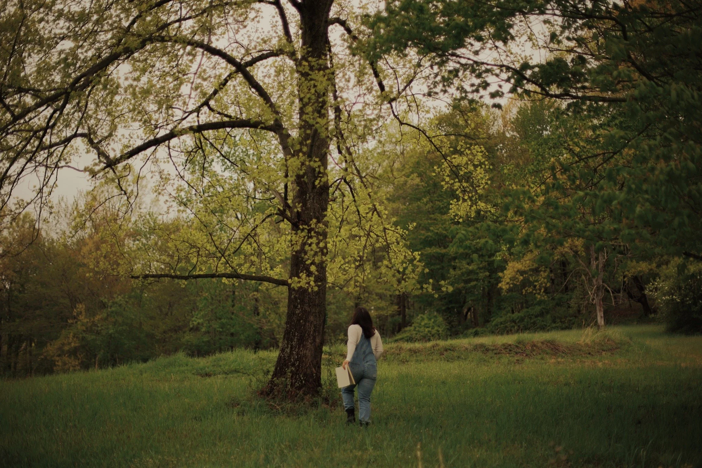 A woman walking in a lush, green park with tall trees and grass, carrying a book or folder.