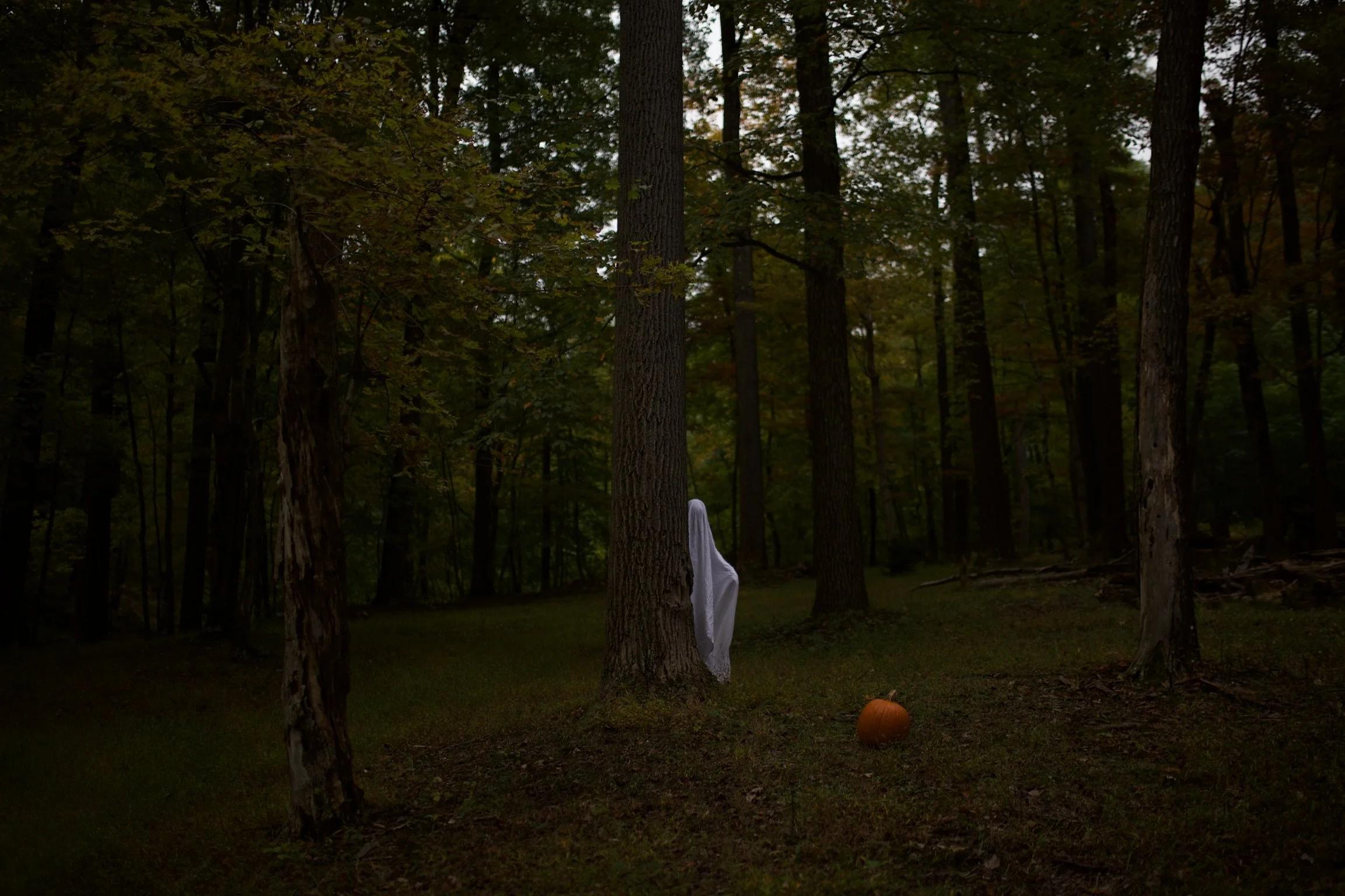 A dark forest with tall trees, a white sheet hanging from a tree, and a pumpkin on the ground.