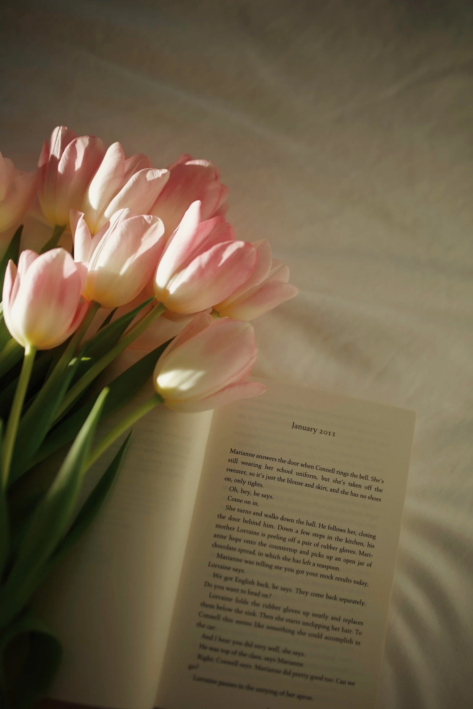 A bunch of pink and white tulips placed on an open book with a white background.