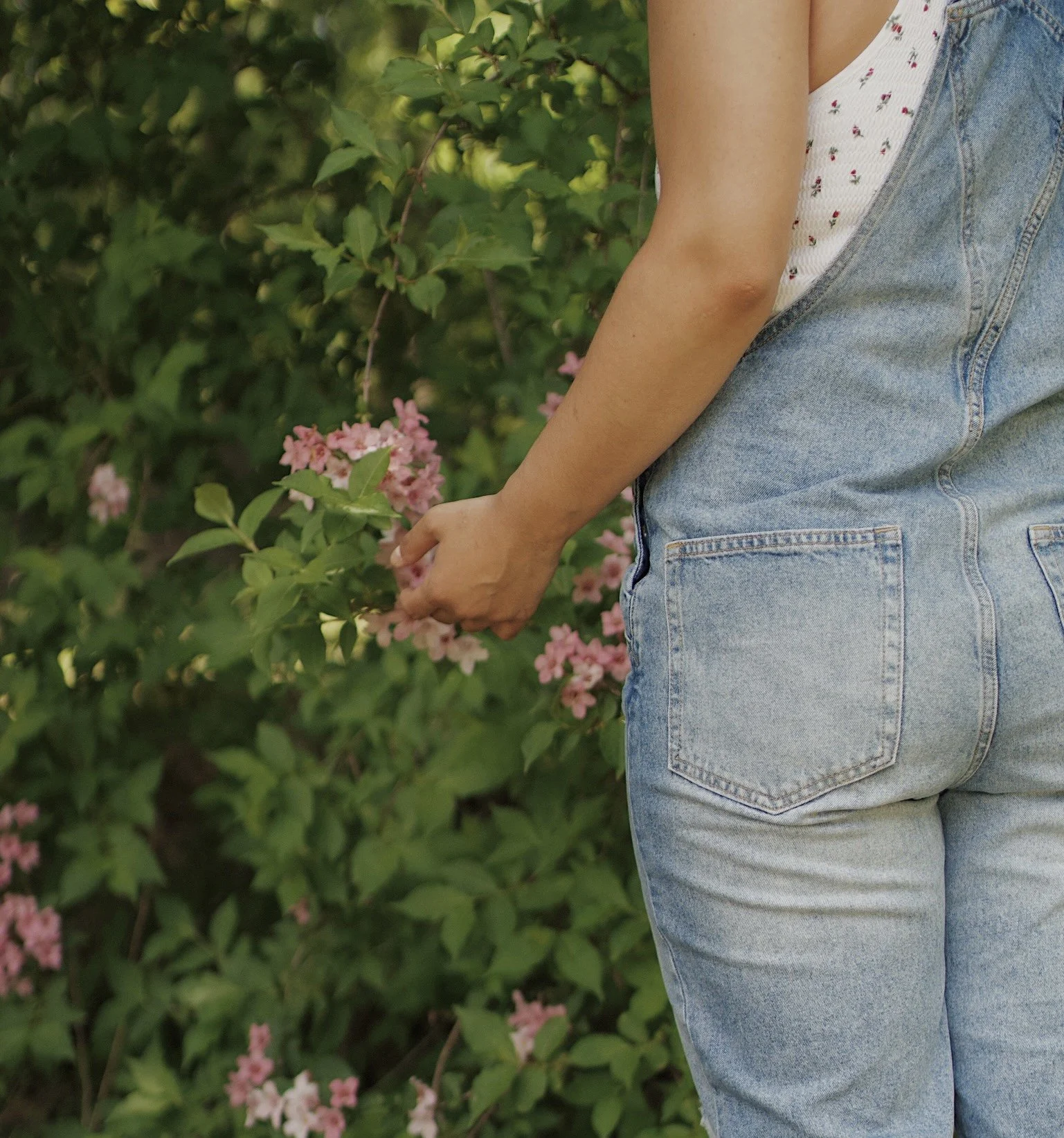 A person wearing a white sleeveless shirt with small red flowers and blue jeans is standing outdoors near pink flowers and green foliage, holding a branch of pink flowers.