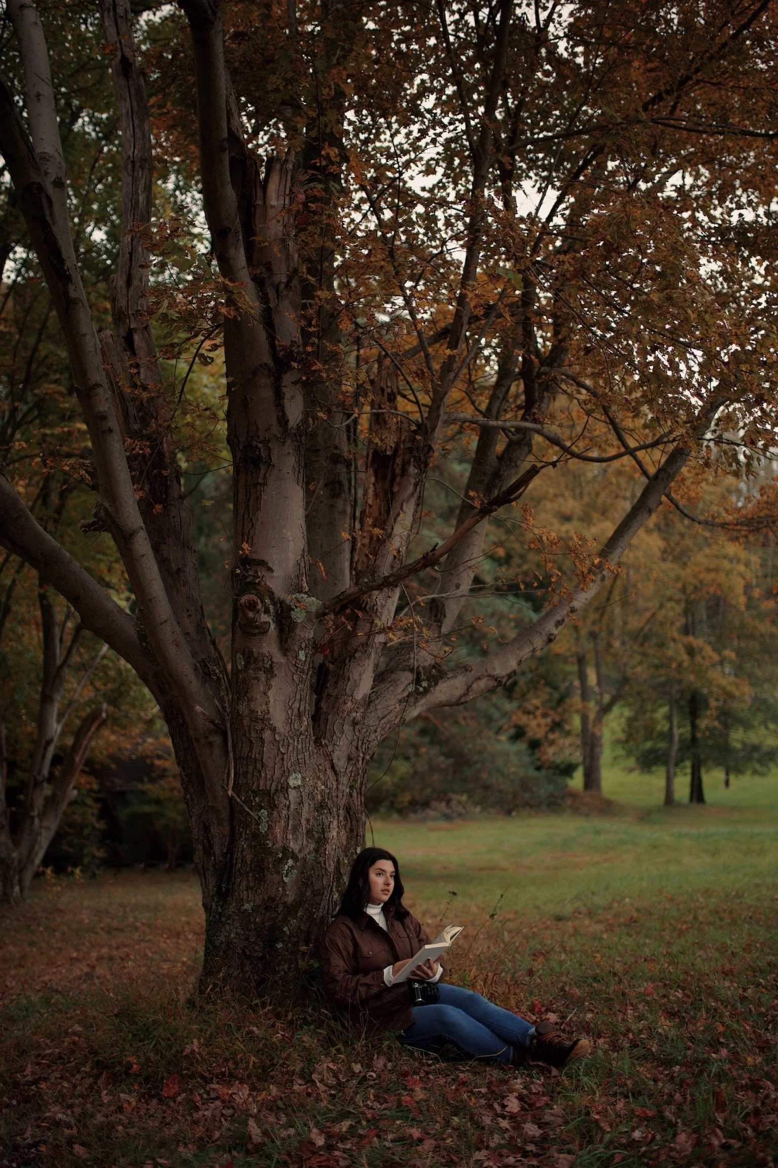 A woman sitting on the ground under a large tree while reading a book in a park during autumn.