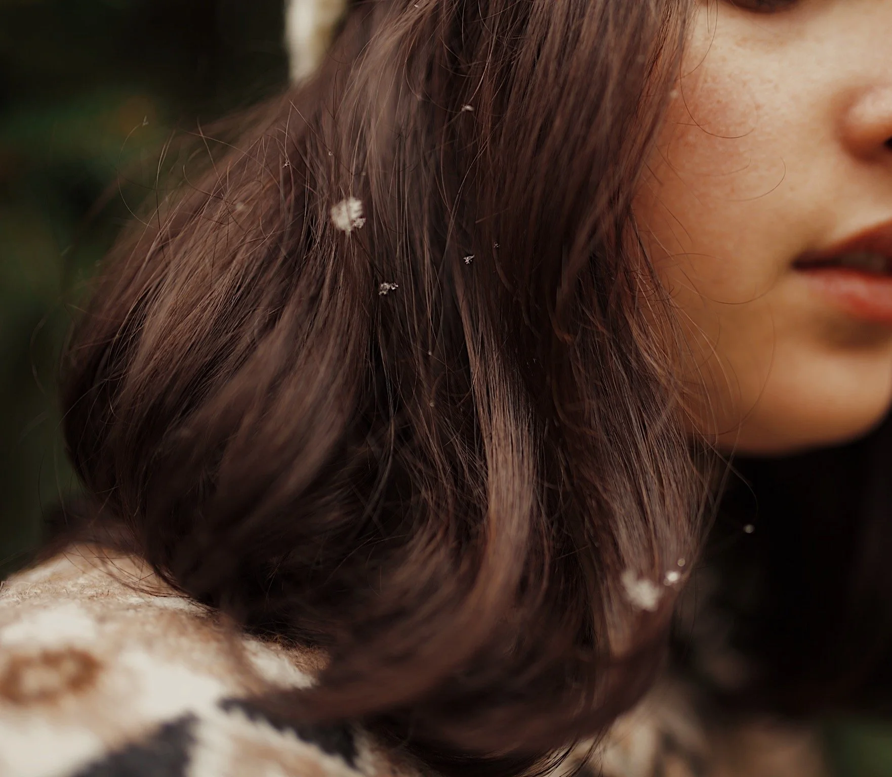 Close-up of a woman's face and brown hair with a few white dandelions caught in her hair.
