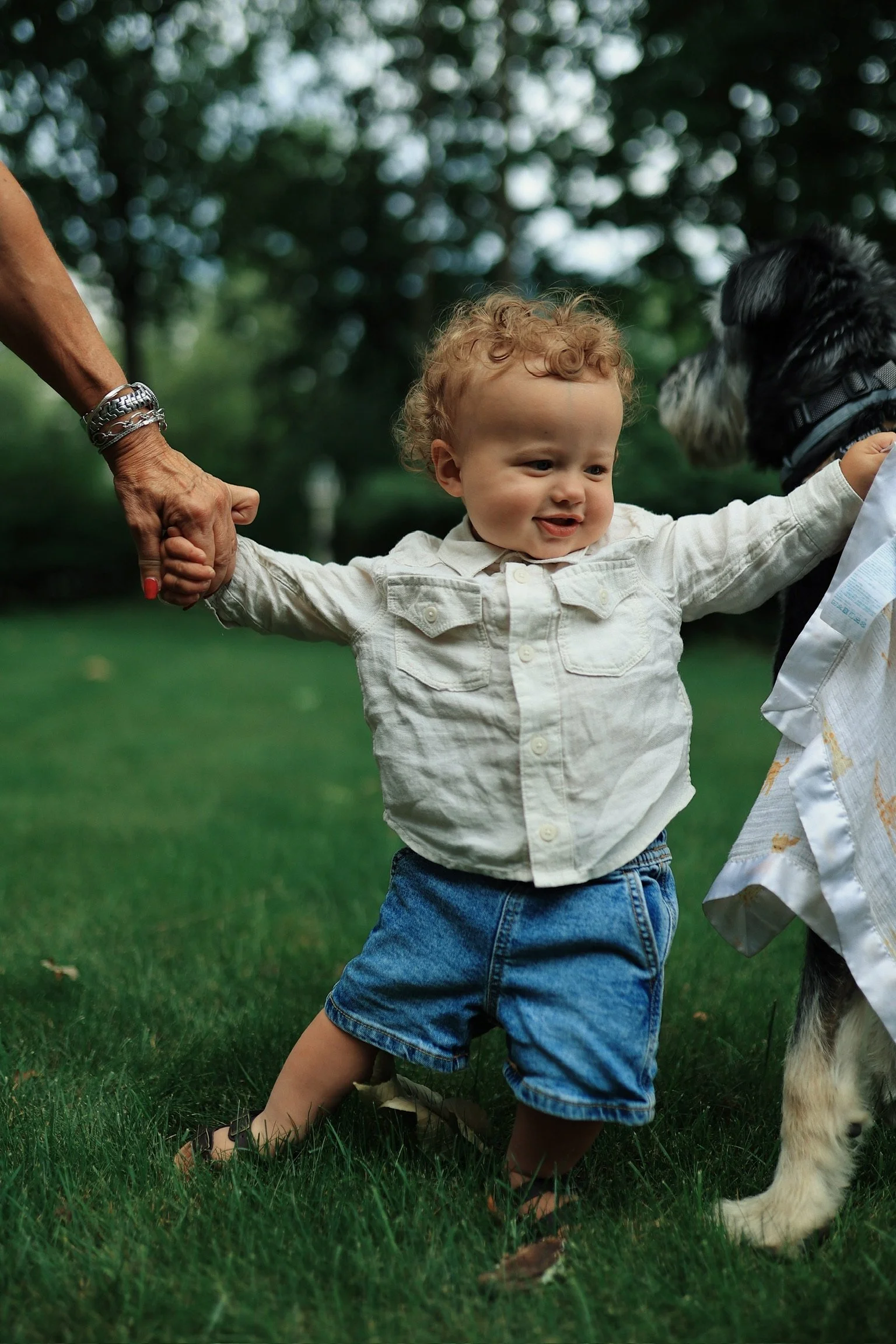 A young child with curly hair, wearing a white shirt and denim shorts, standing on grass and holding hands with an adult on one side and a dog on the other, outdoors in a park with trees in the background.