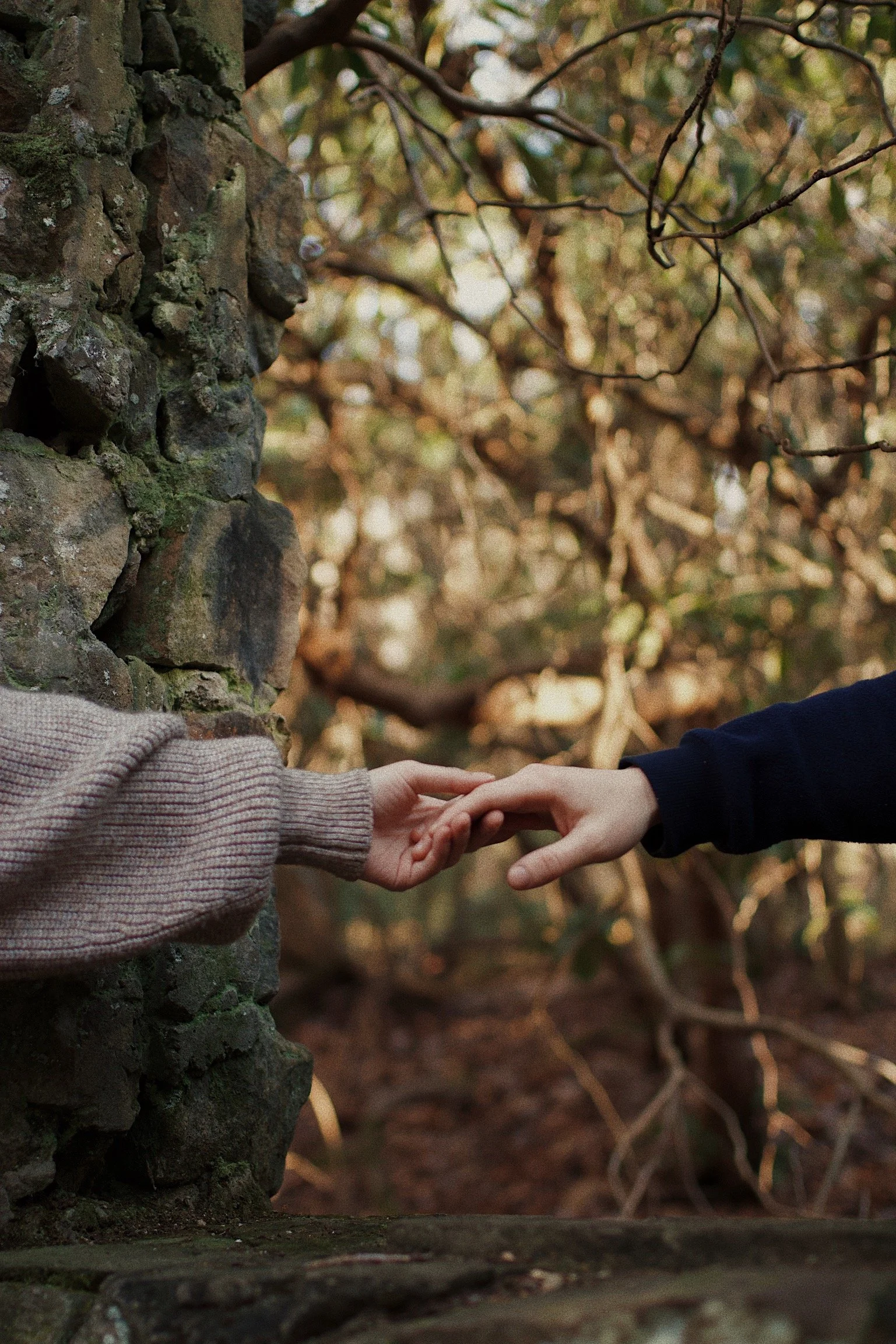 Two people reaching out and holding hands in a forest setting, with an old stone wall on the left and trees with branches in the background.