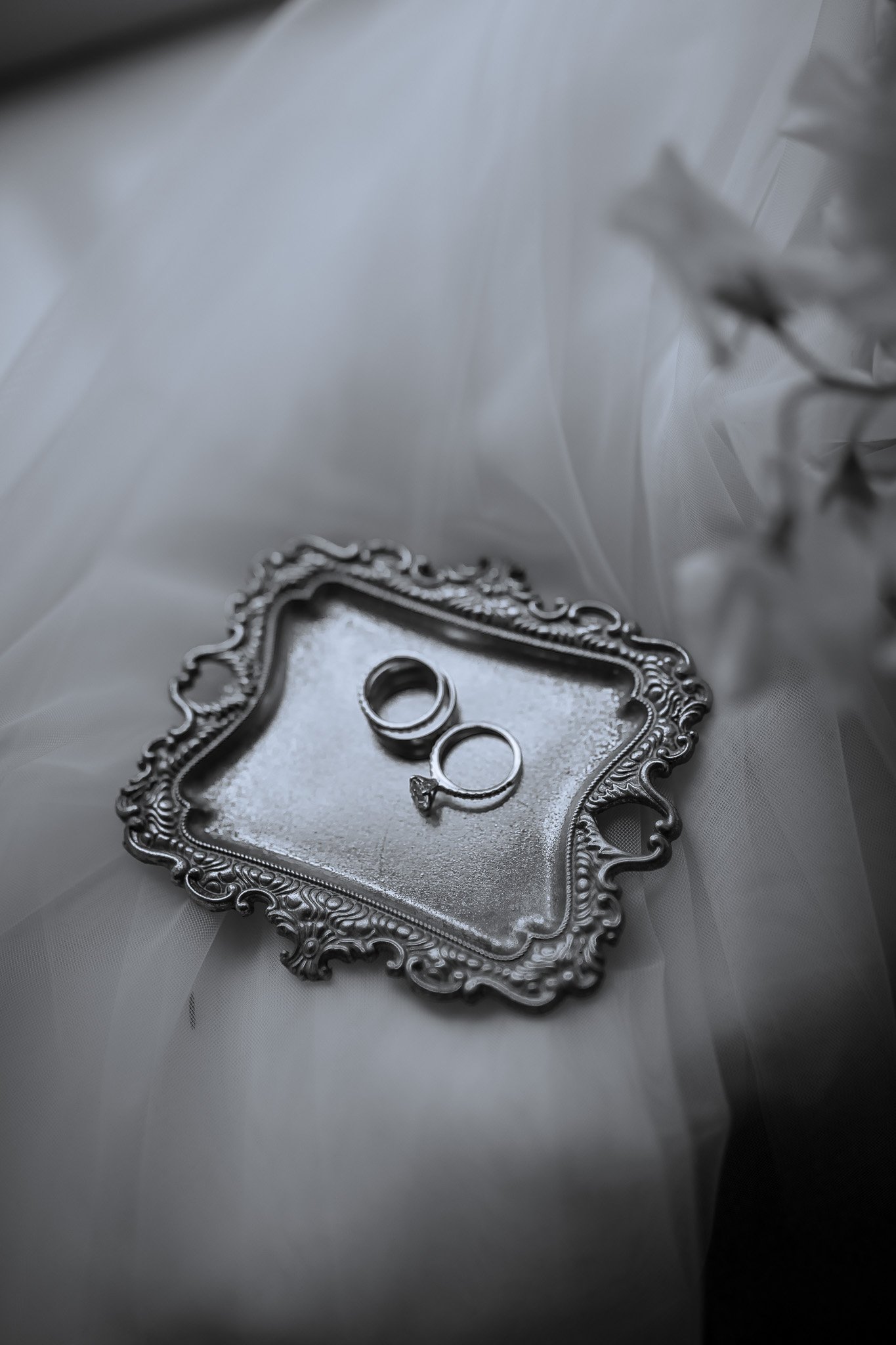 J&A Sneak Peeks -016.jpg