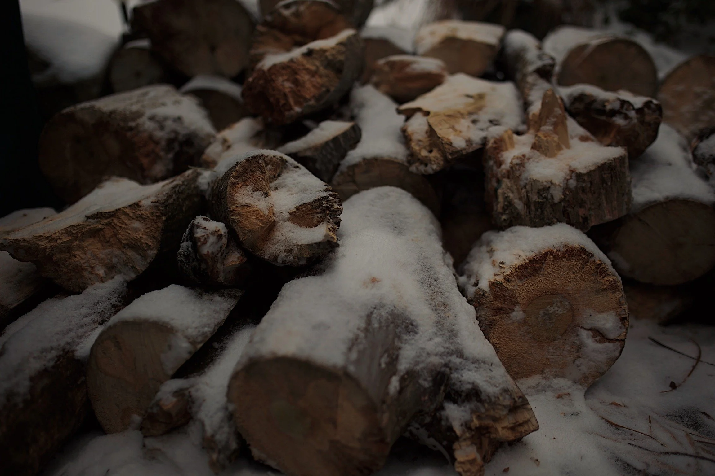 Stacked firewood logs covered with snow outdoors.