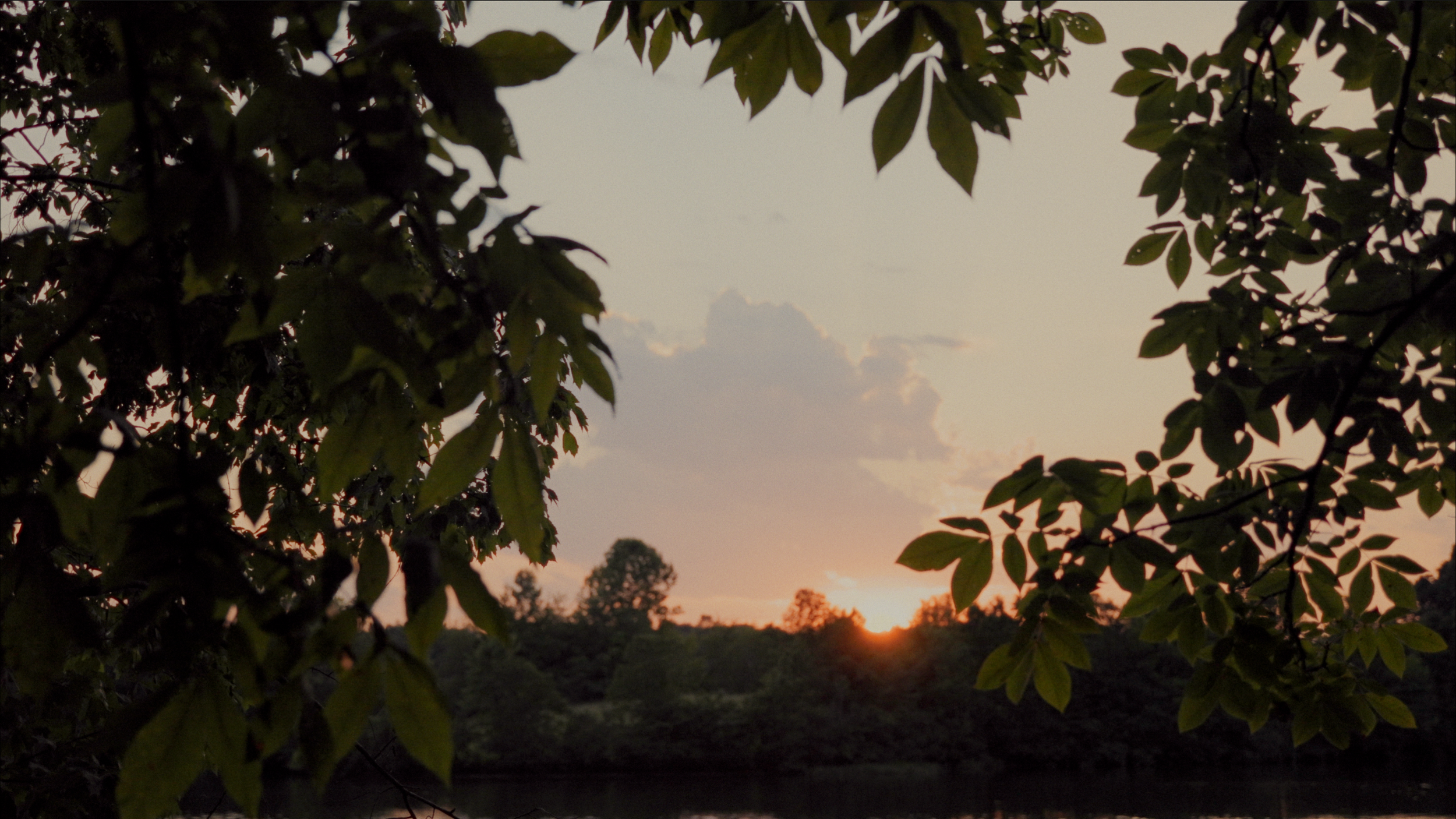 Screenshot 2024-07-23 at 2.52.13 PM.png