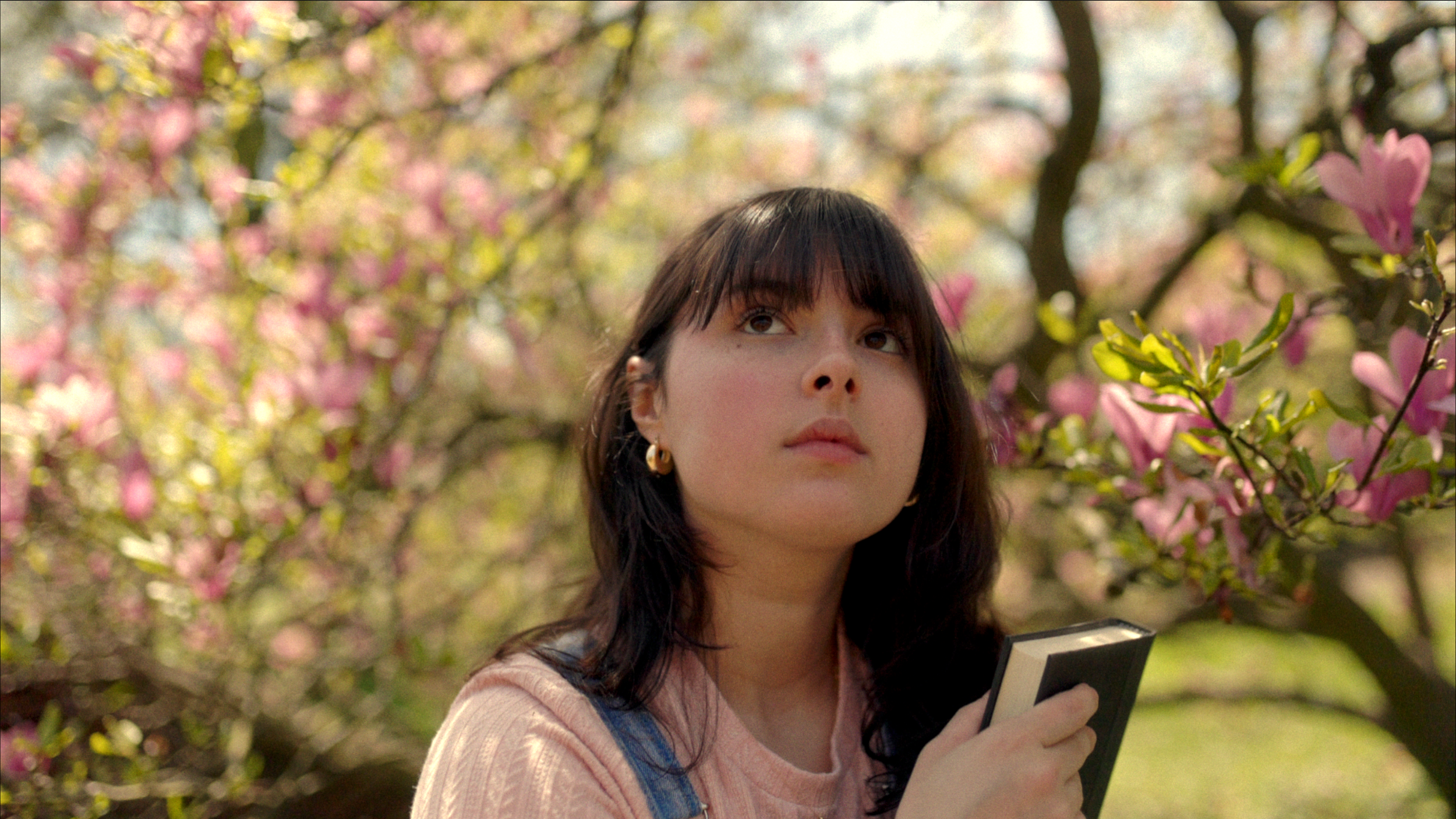 Screenshot 2024-04-22 at 11.52.00 AM.png