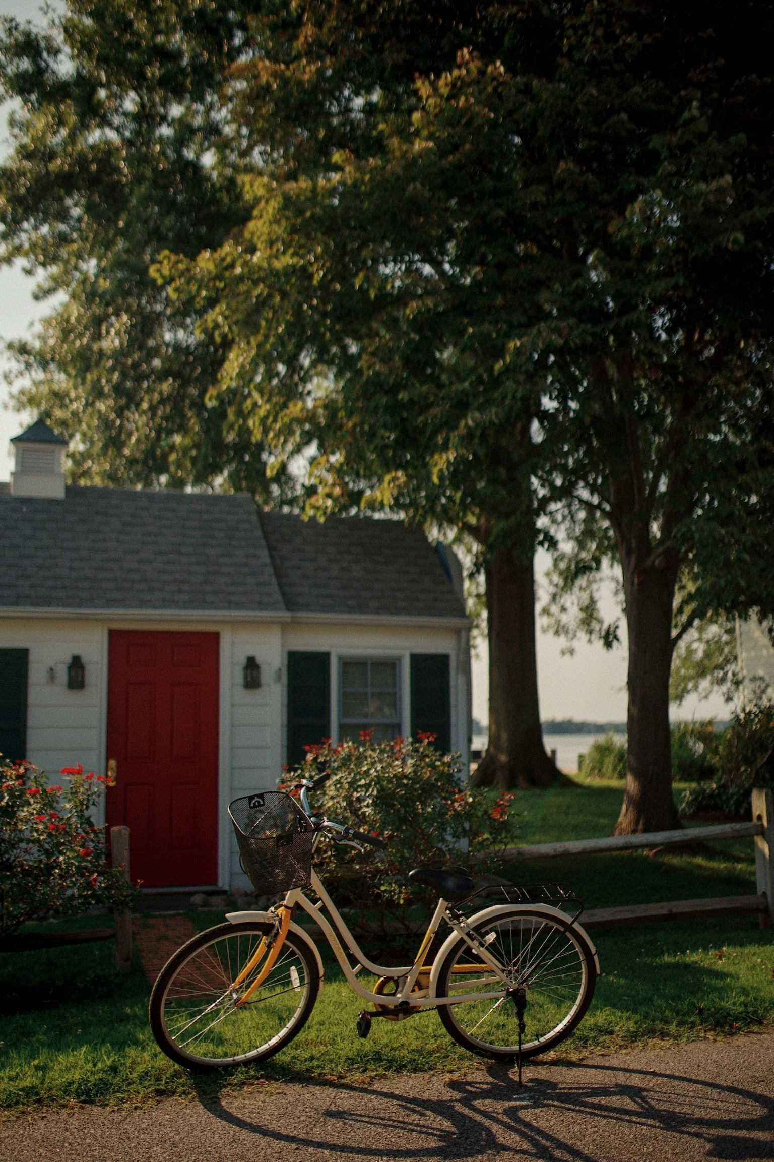 A white bicycle with a black basket parked in front of a small white house with a red door, surrounded by trees and greenery, during late afternoon or early evening.