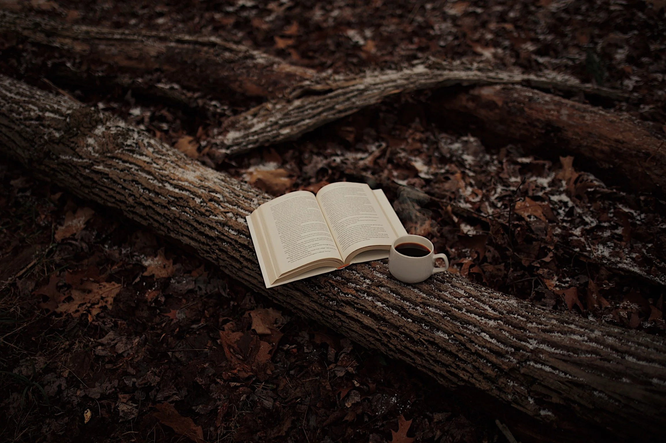 An open book and a cup of coffee resting on a fallen tree trunk in a forest with dried leaves and patches of snow.