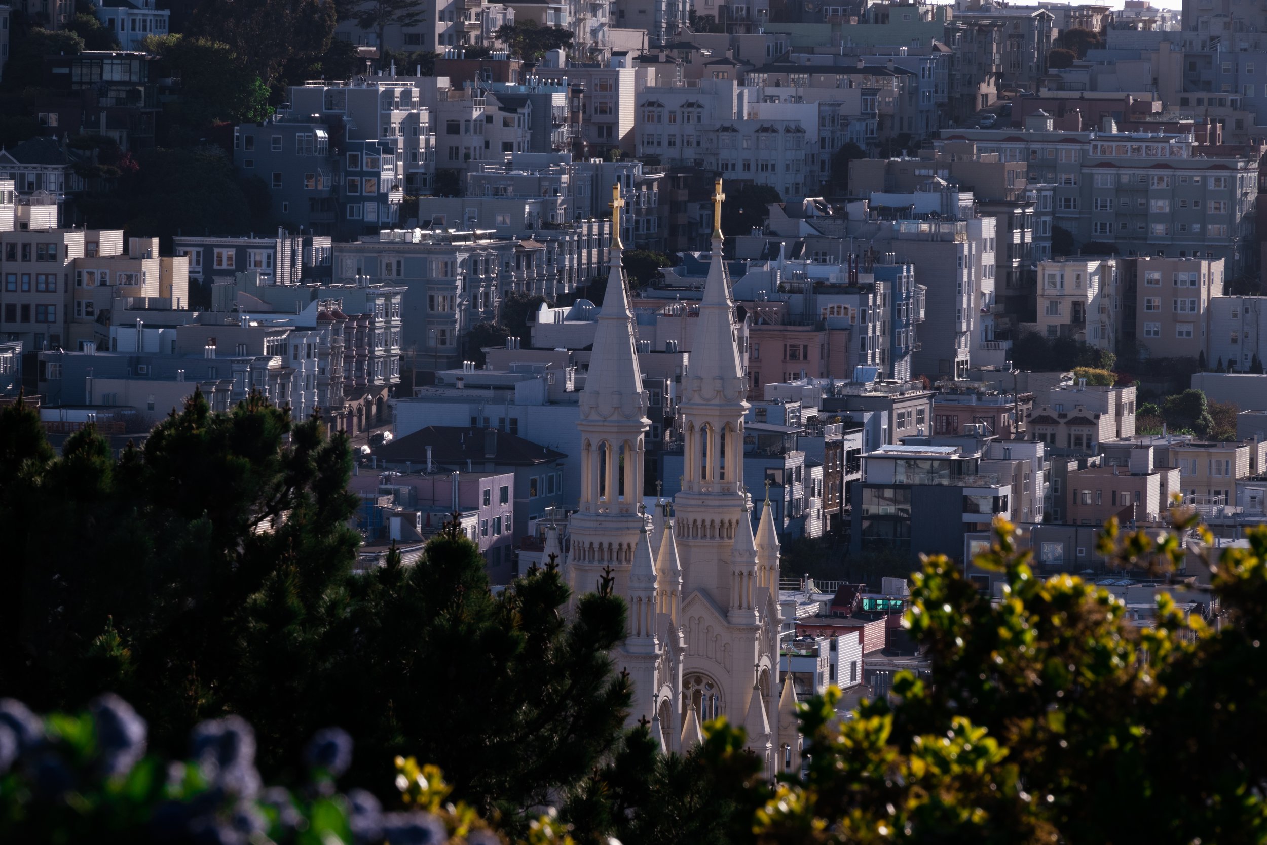 SF Neighborhood