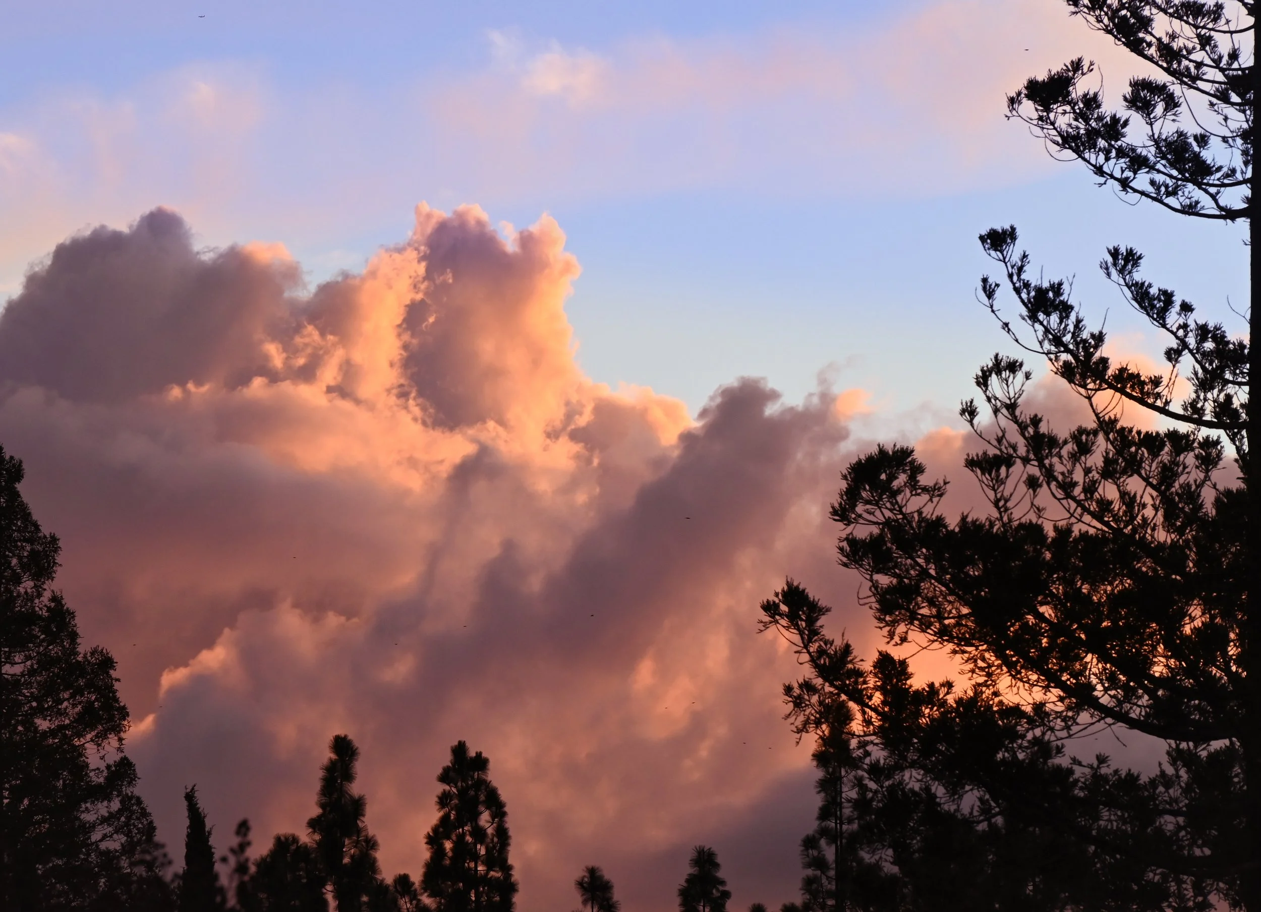 DSC_1111.jpg
