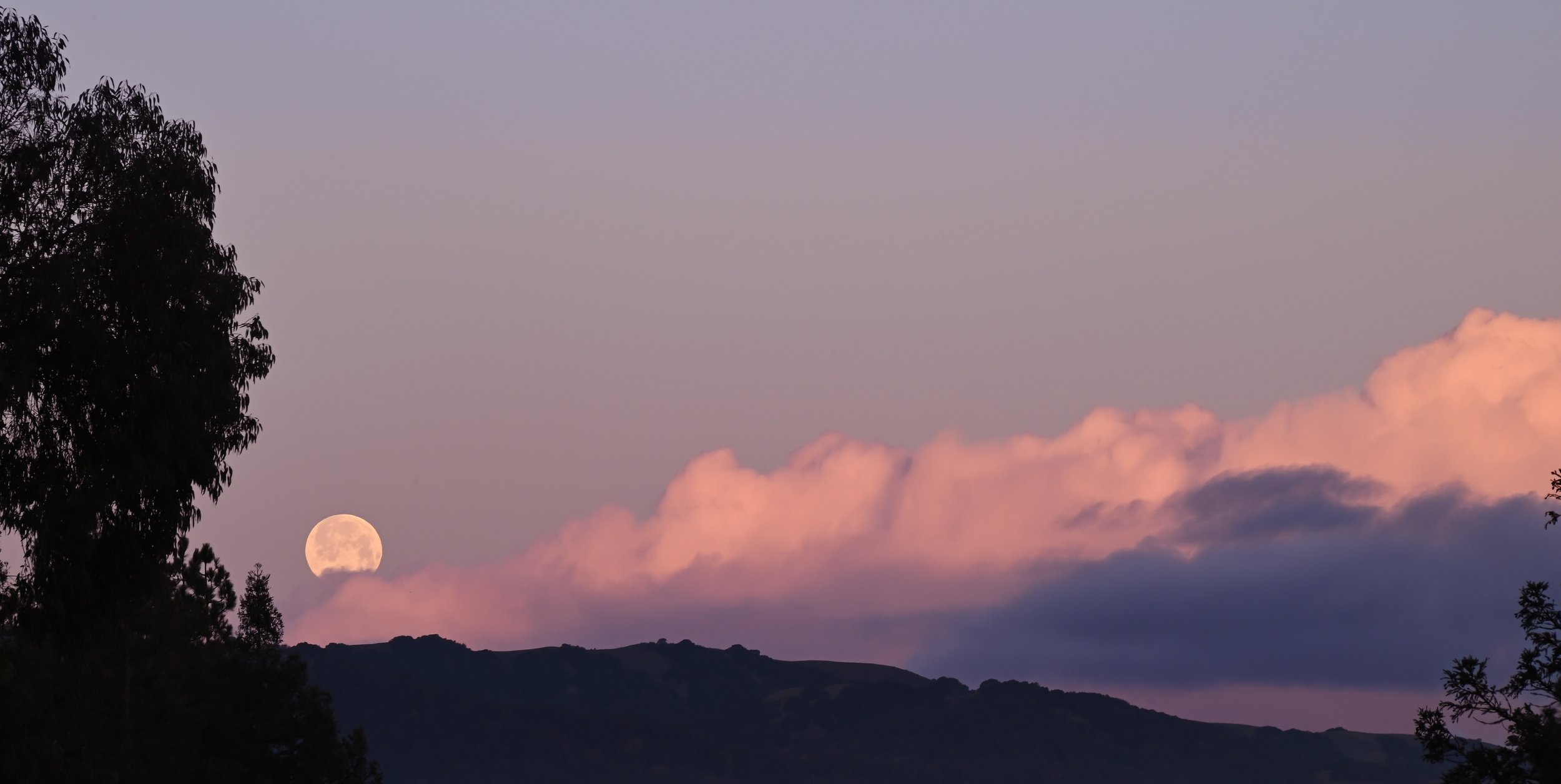 DSC_1329-Enhanced.jpg