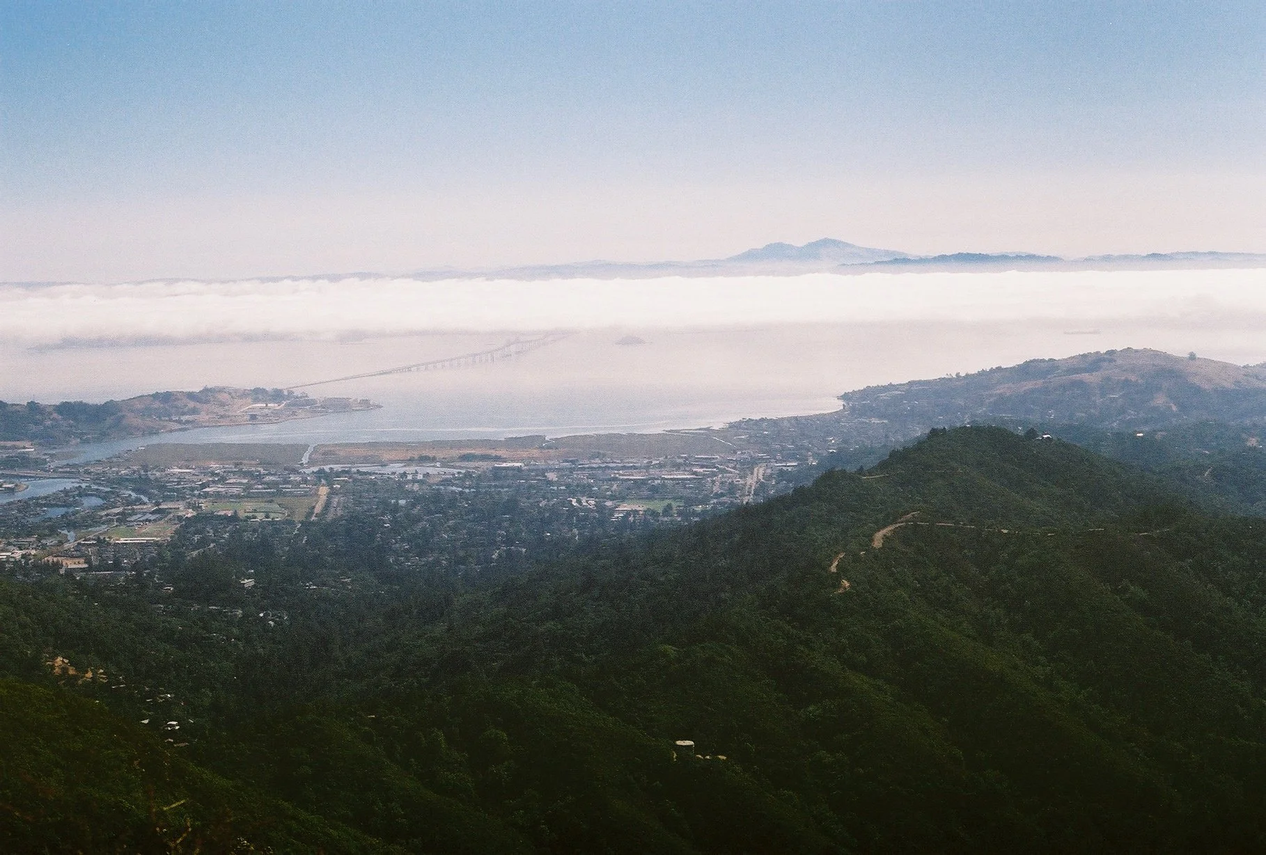 Bay from Mt Tam