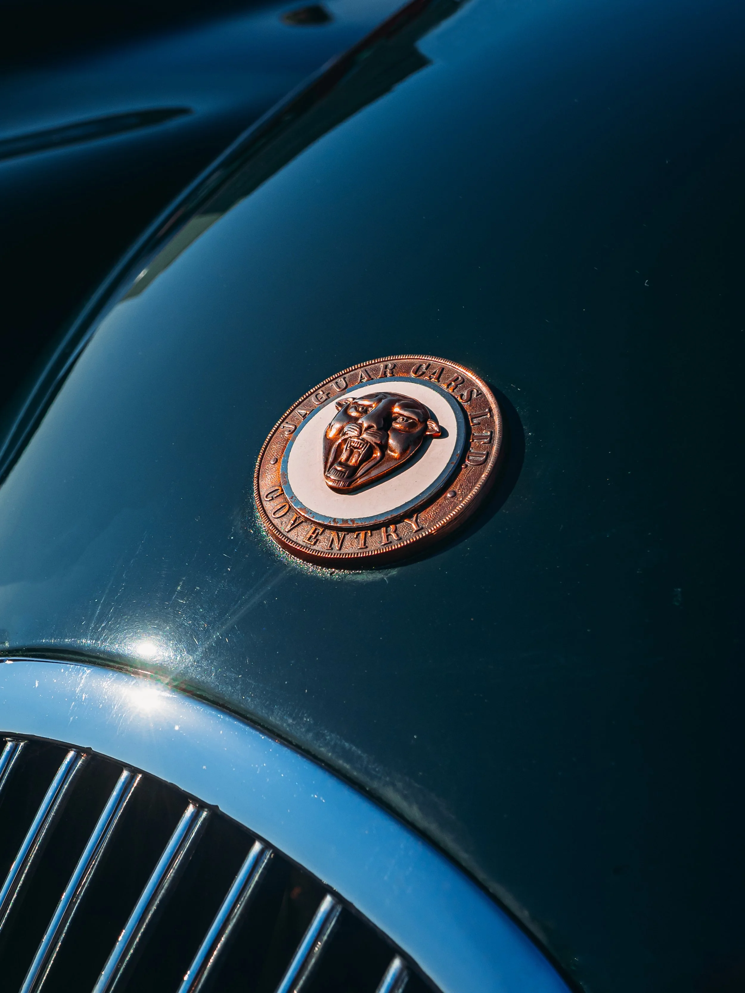 The image is a close-up of the hood of a dark green car, focusing on an emblem and part of the front grille. The emblem is circular and features a bronze or copper jaguar head in the center, depicted in a roaring pose. The surrounding ring of the emb