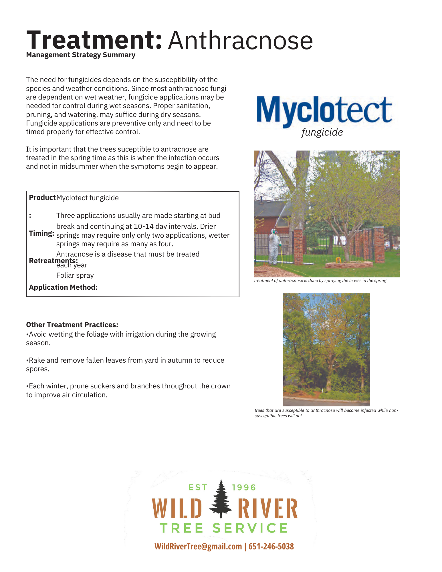 anthracnose - 2.png