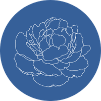 Outline of a flower, possibly a rose, on a blue circular background.