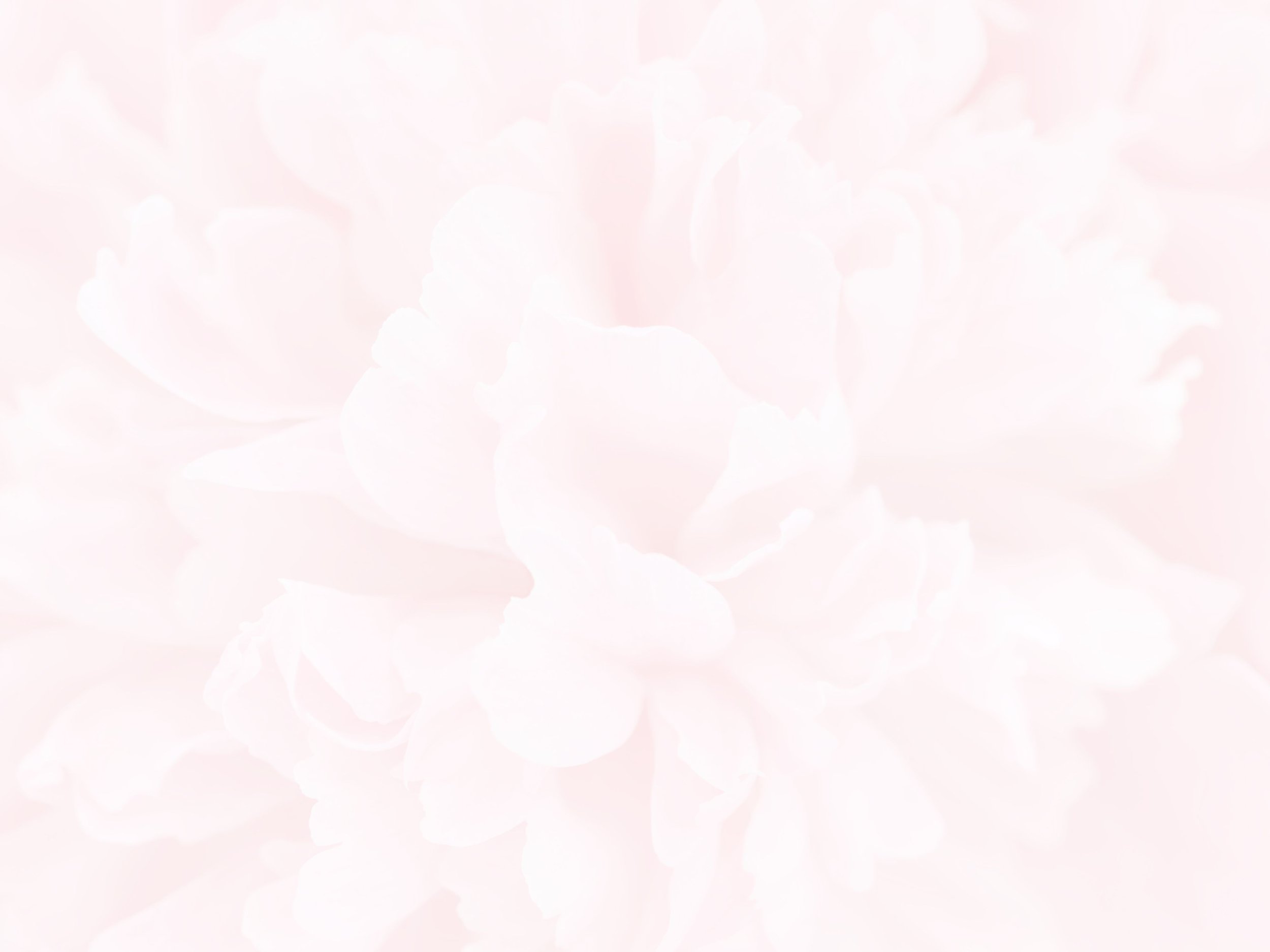 A soft, pastel-colored background with a floral pattern of petals in light pink and white.
