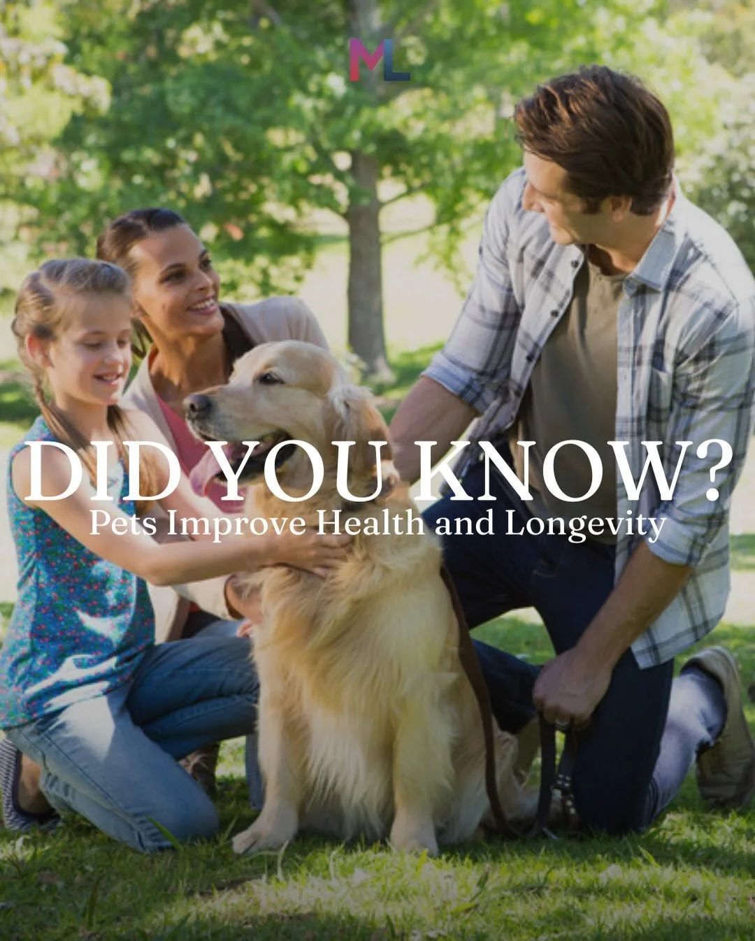 Did You Know? Owning pets, especially dogs, can increase daily activity, reduce stress, and combat loneliness. Large studies even show pet owners have lower cardiovascular risk and longer survival. A furry friend isn&rsquo;t just companionship, they&