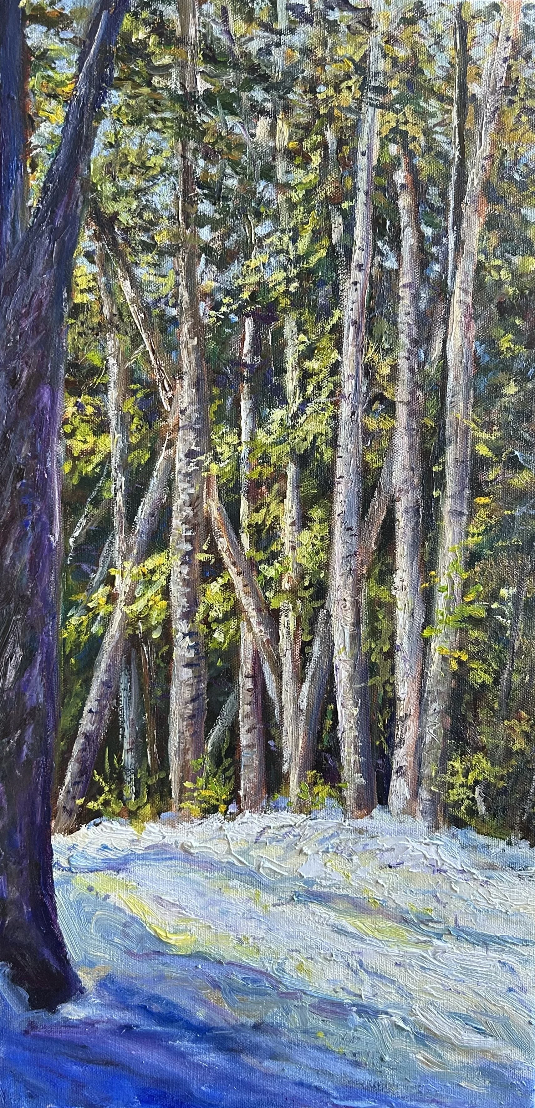 Poplar Stream Hut Trail, Carrabassett Valley, Maine, 24x12, Oil on Canvas