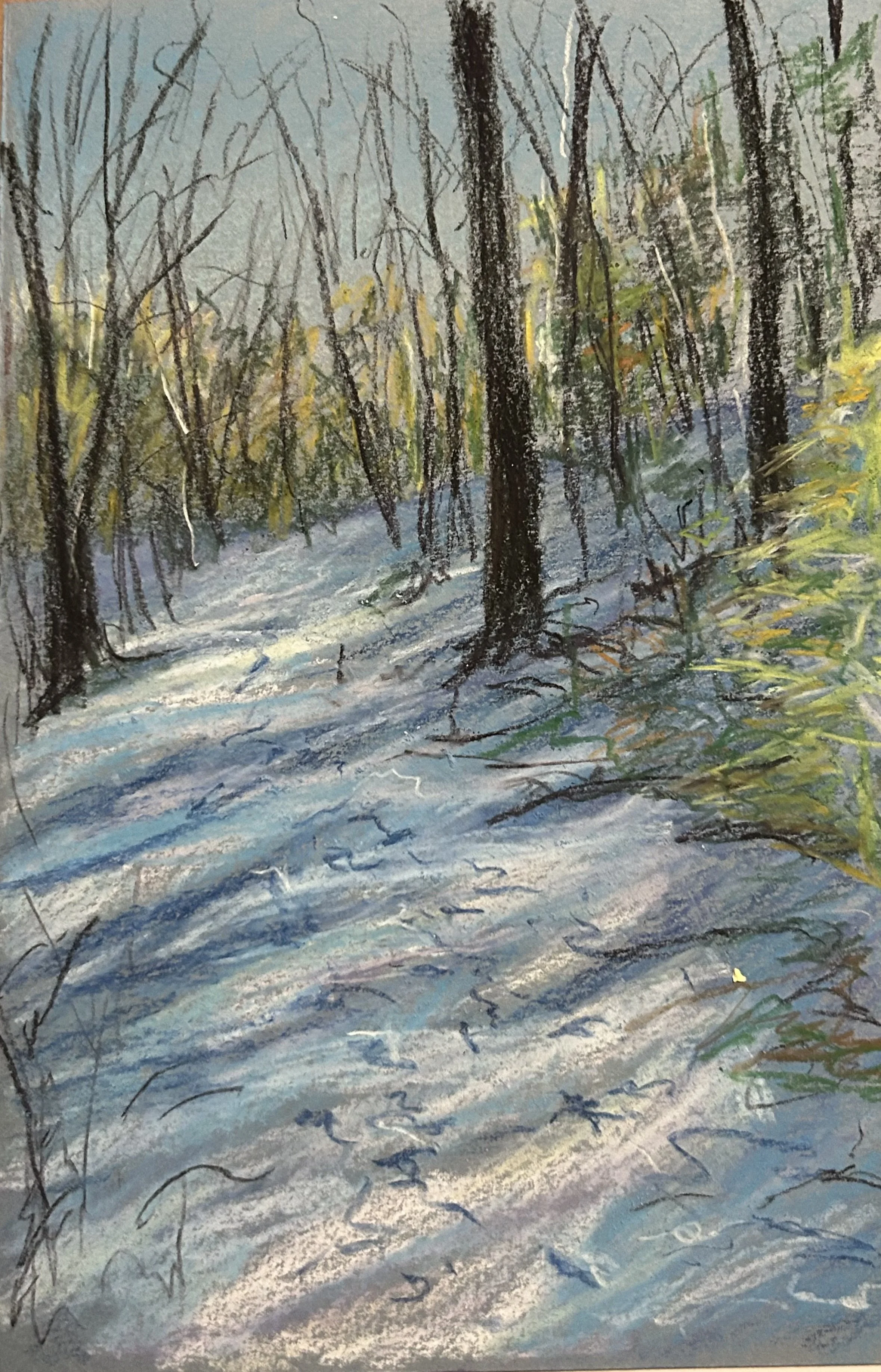Winter path, 10x8, pastel crayon on paper