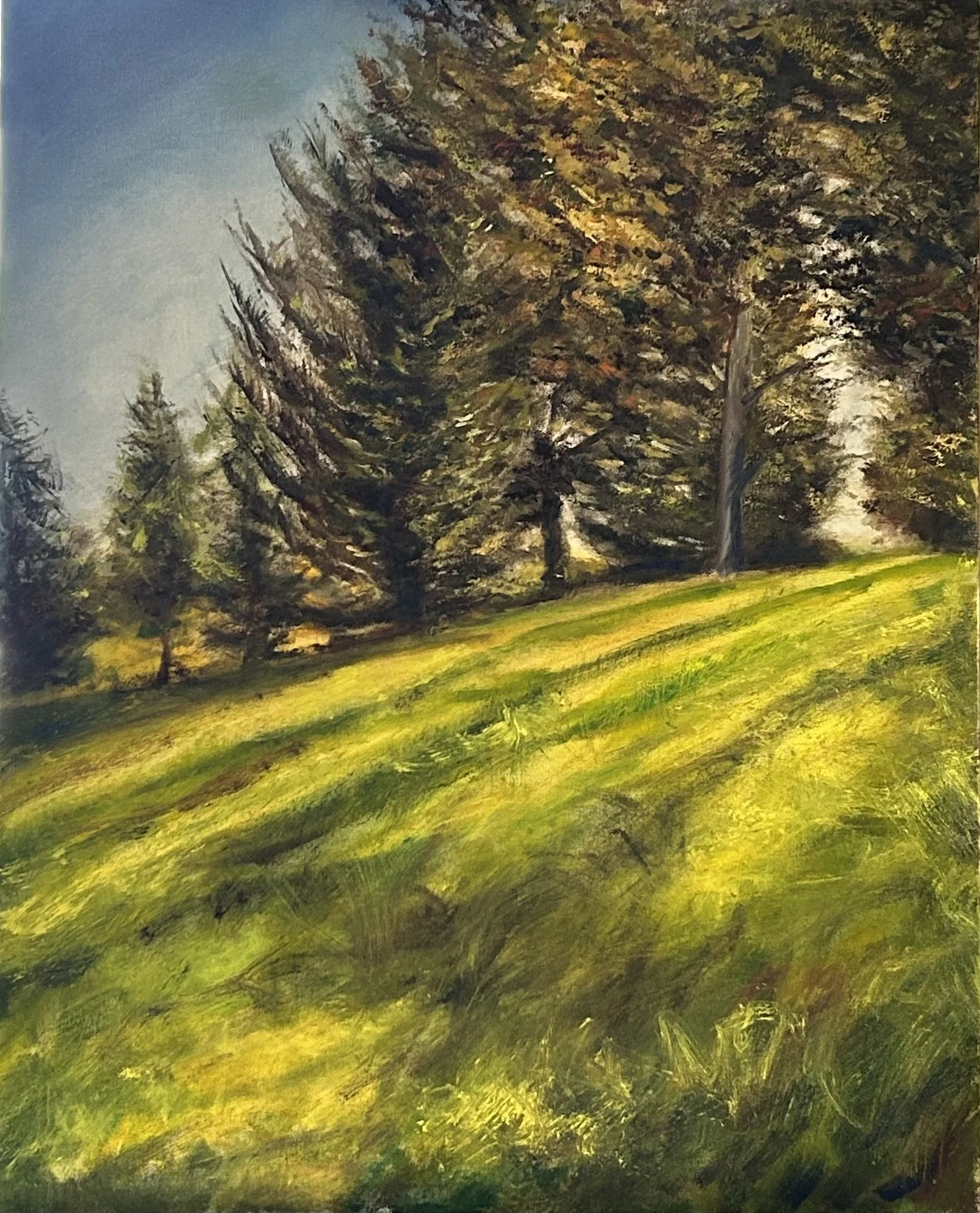 Peters Hill Morning, 30x24, Oil on canvas