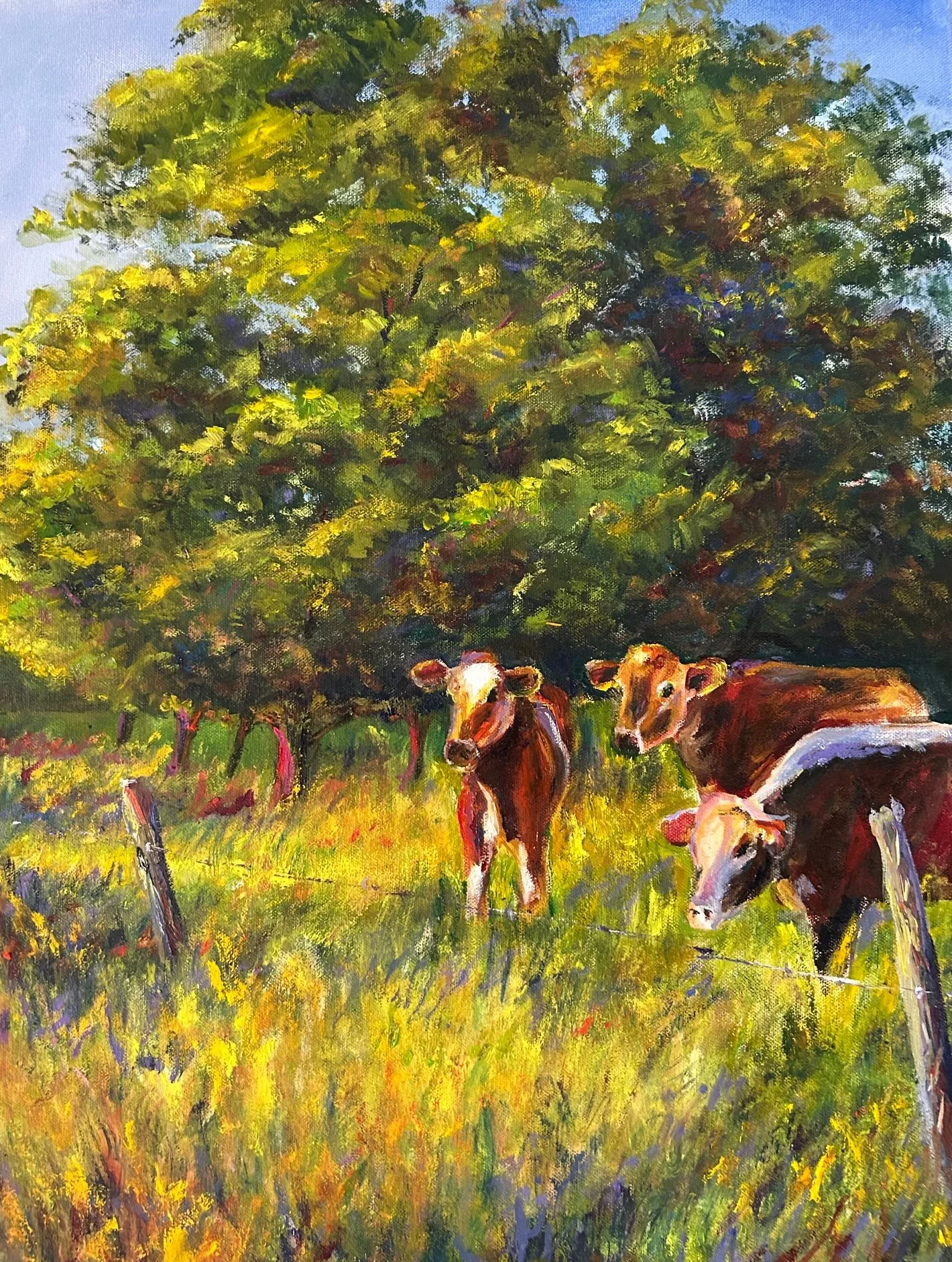 Golden Hour Cows, 24 x 18, $900