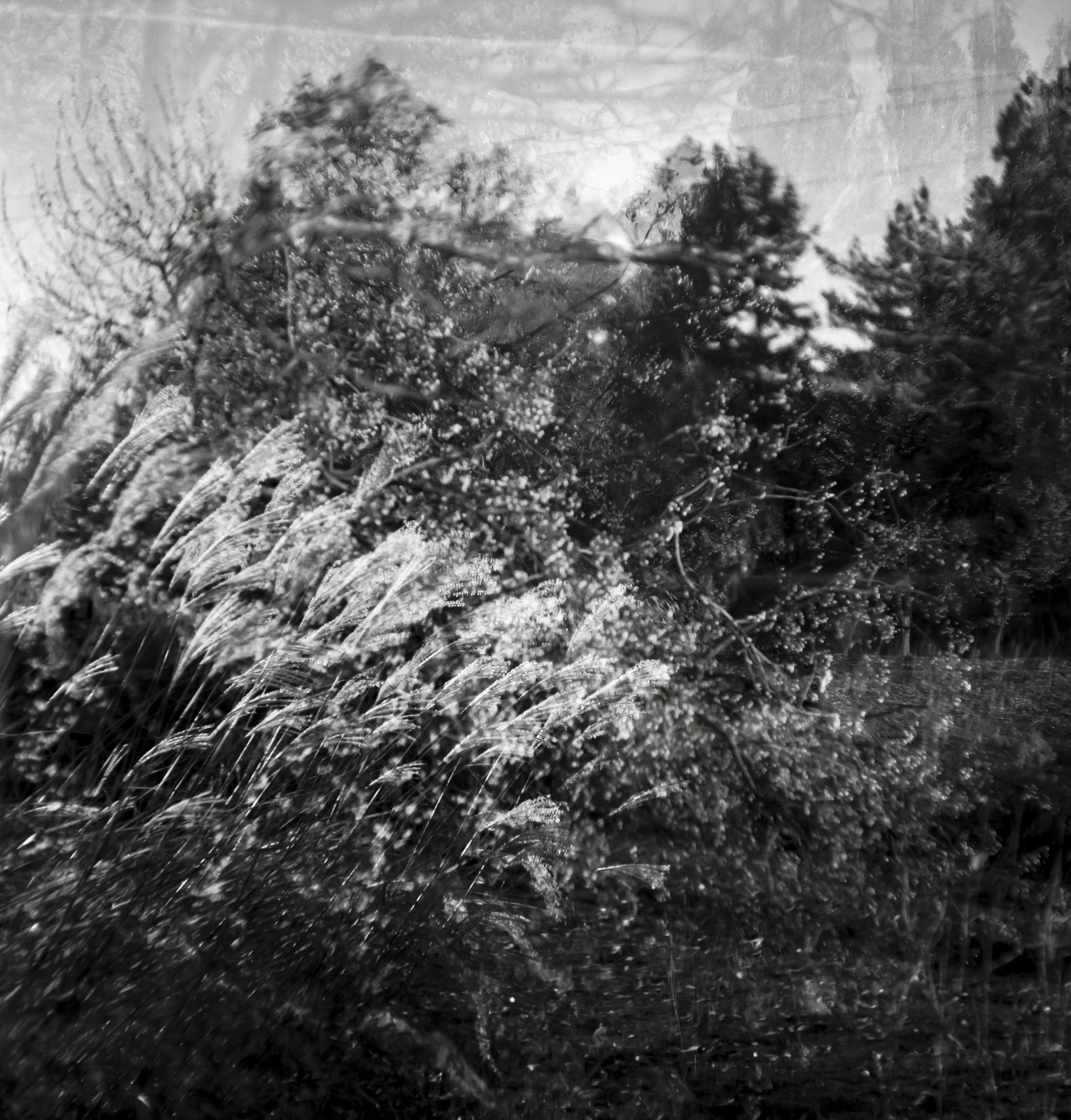 My creative Process, Double exposures