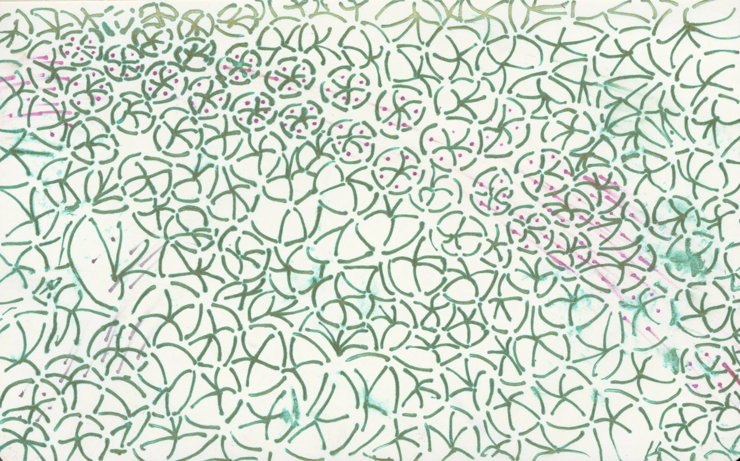 img20220908_19182869 (2).jpg