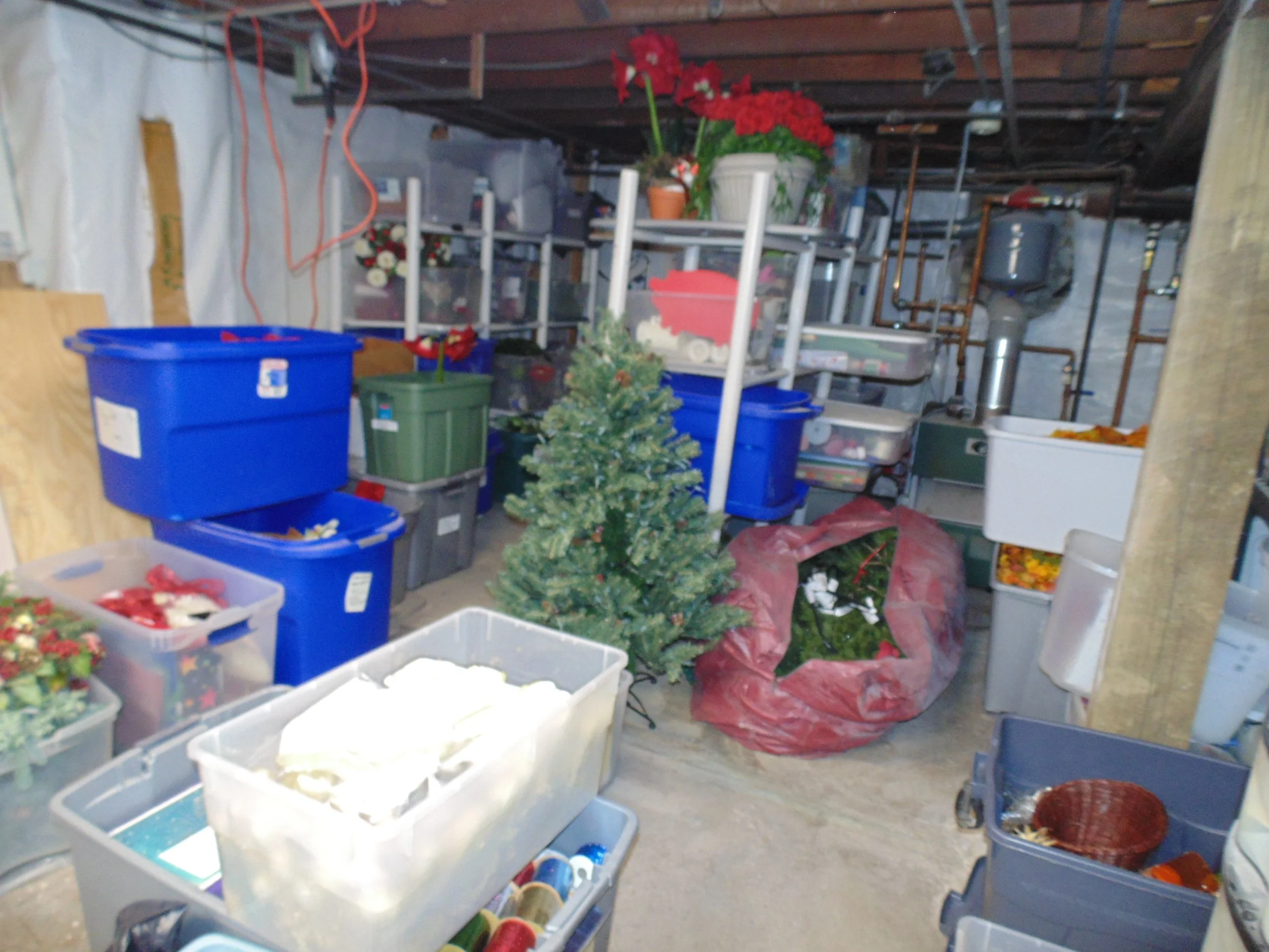 DSC06208.JPG