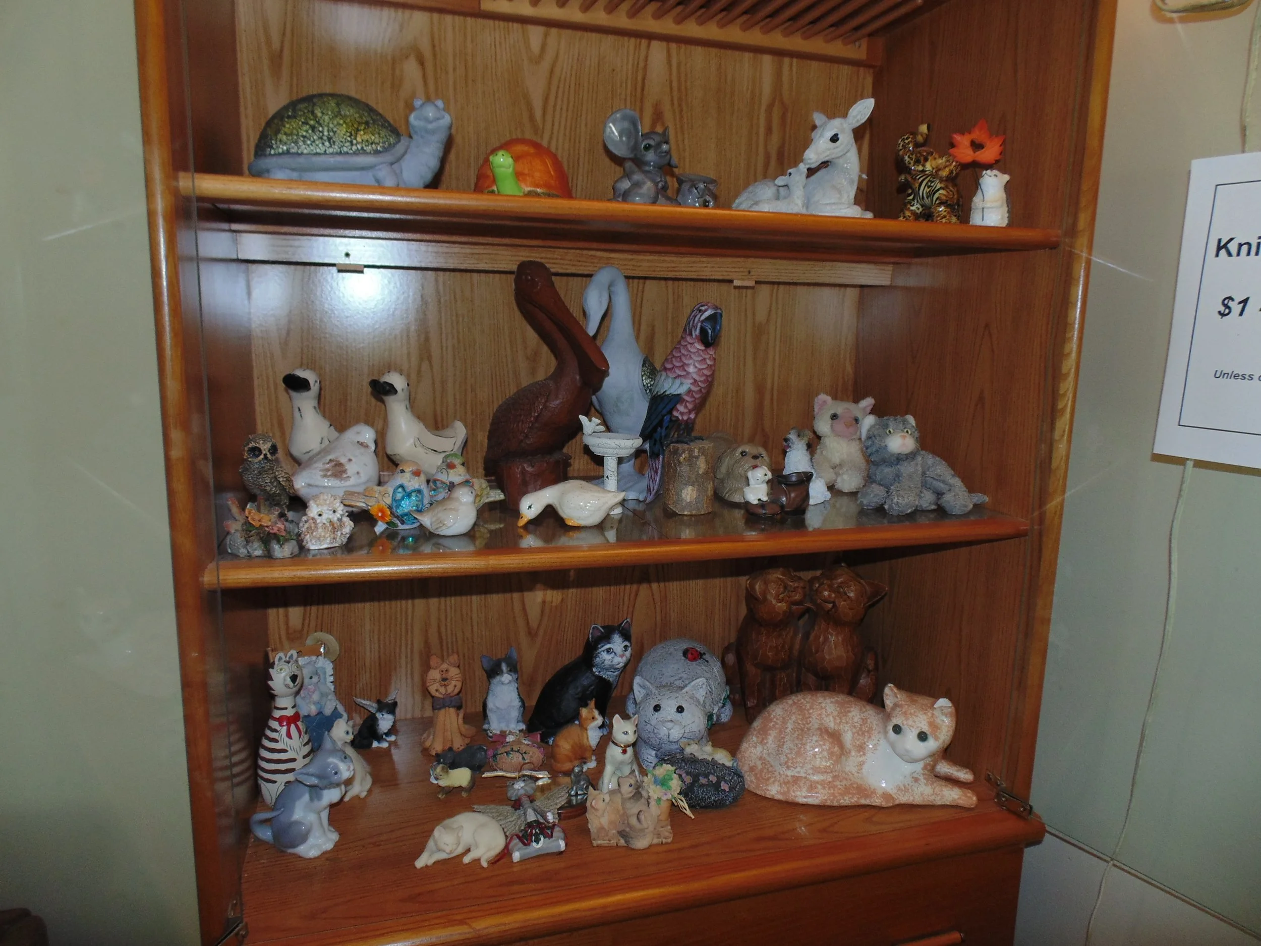 DSC05649.JPG