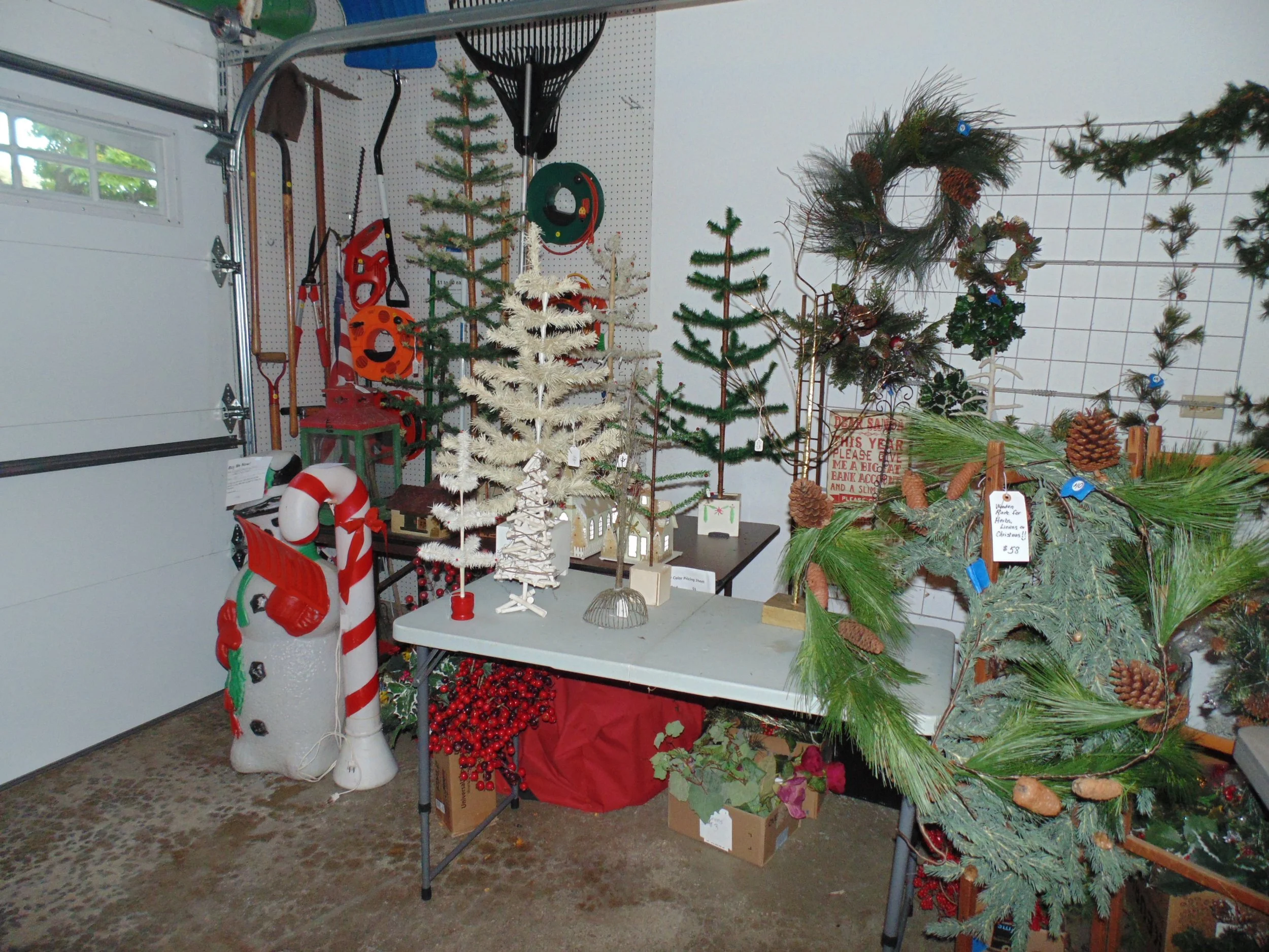 DSC06481.JPG