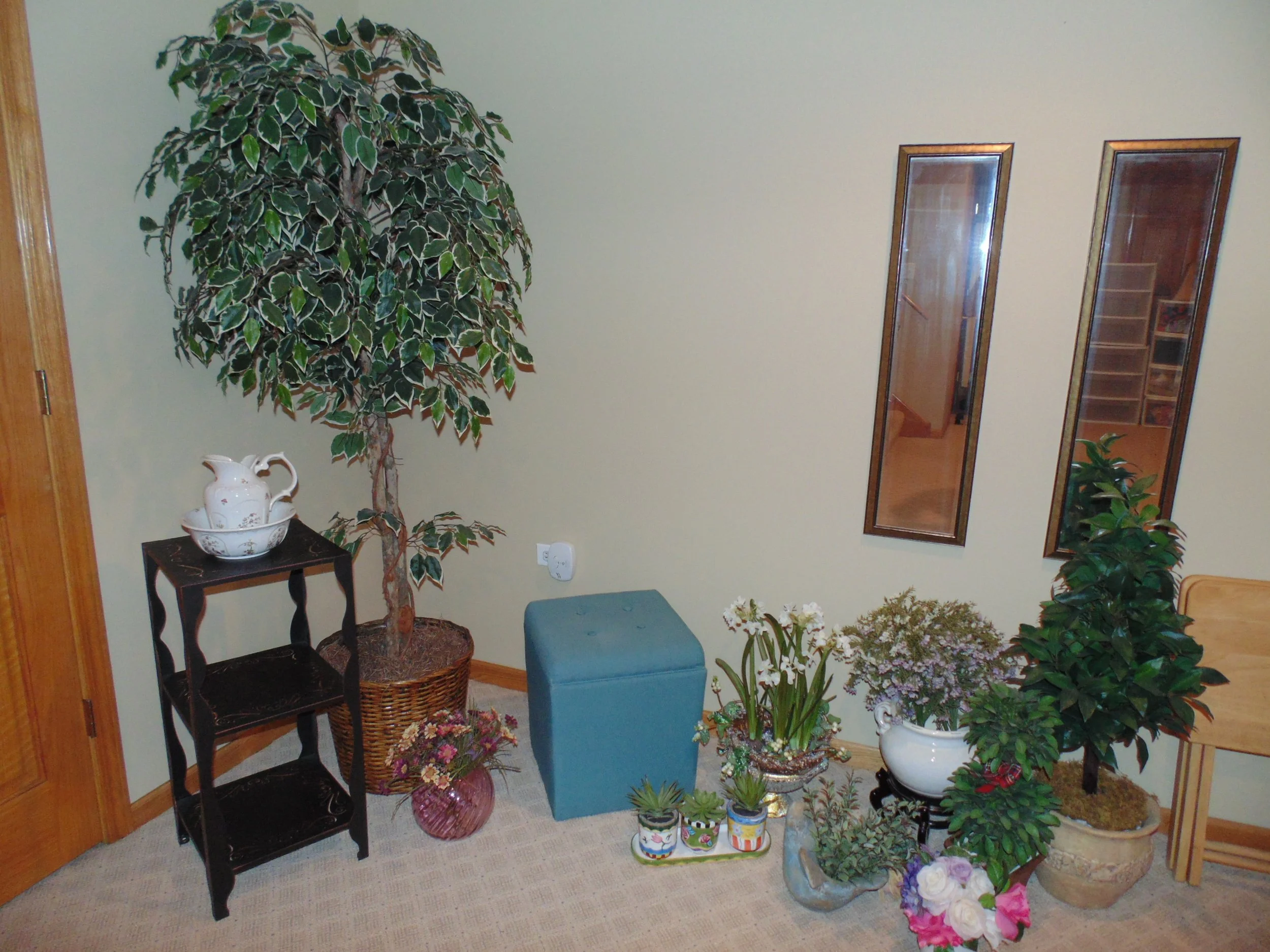 DSC06287.JPG