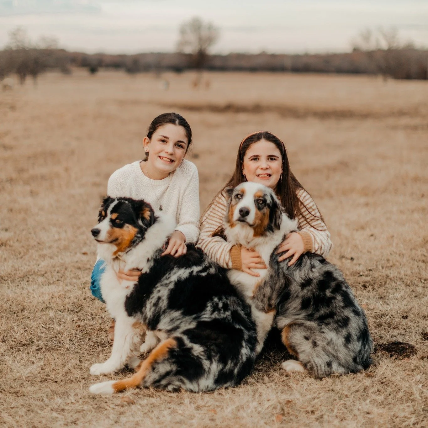 Happy National Dog Day! Post a picture of yours in the comments below. Did you know we also write pet insurance? Let us know how we can help you.