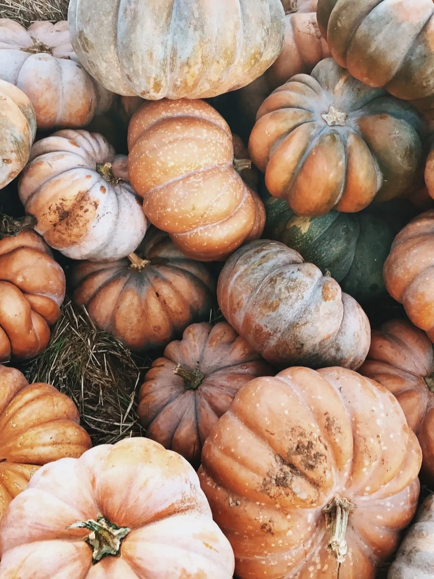 Happy October 1st! 

We are entering our busy season and wanted to remind you that Open Enrollment starts this month.

To make this process easier for everyone, please call or go online to our website to schedule your appointment. You can fill out th