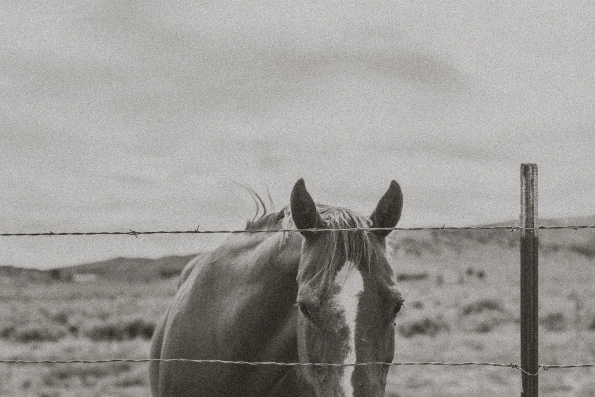 It's the last day of 2025! This year has flown by. We appreciate all of our clients for trusting us to serve you and your insurance needs. Sharing this friendly reminder that we will be closed tomorrow but will return with normal hours our Friday.