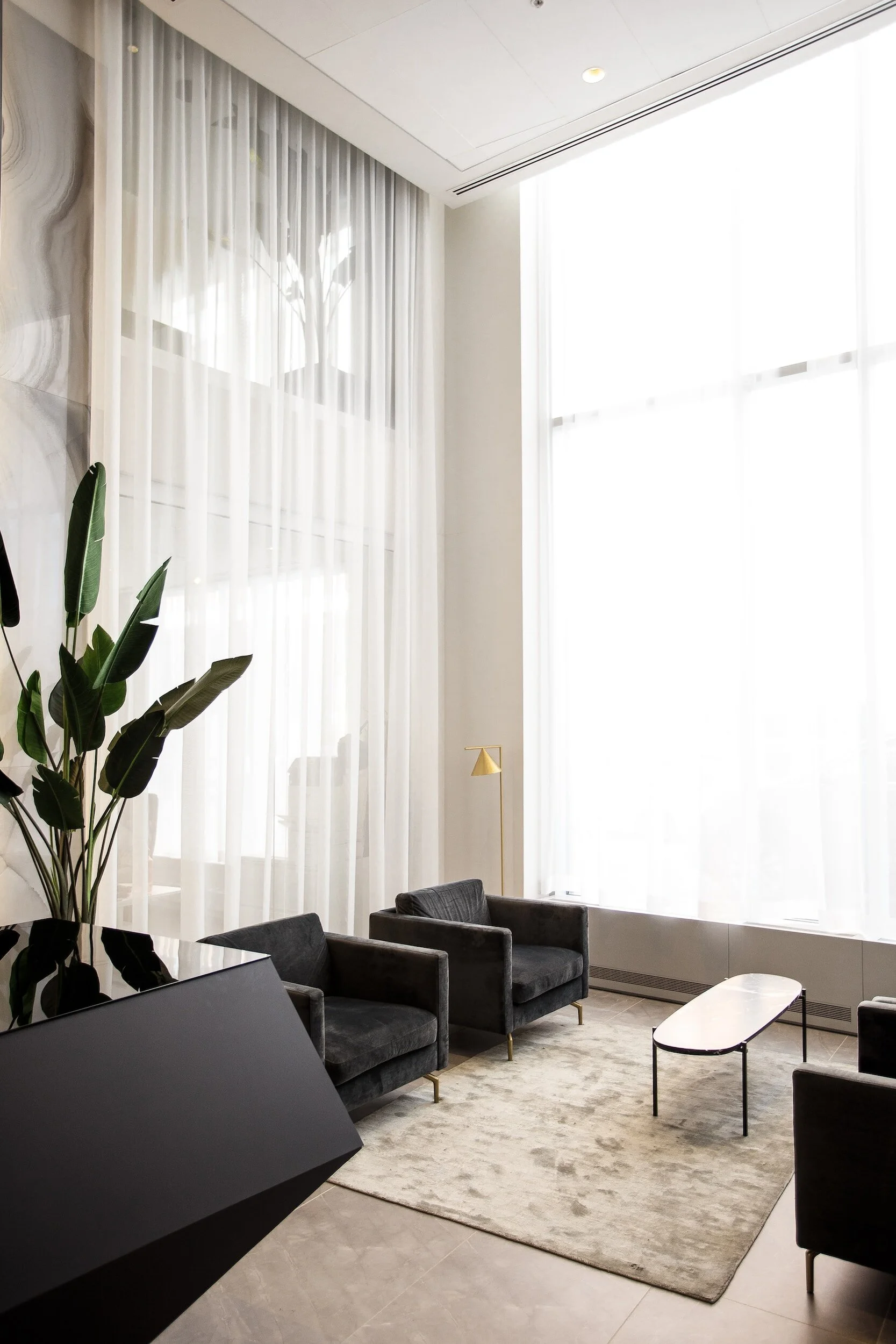 Modern waiting area with black armchairs, a small coffee table, large window with sheer curtains, indoor plant, and a beige rug.