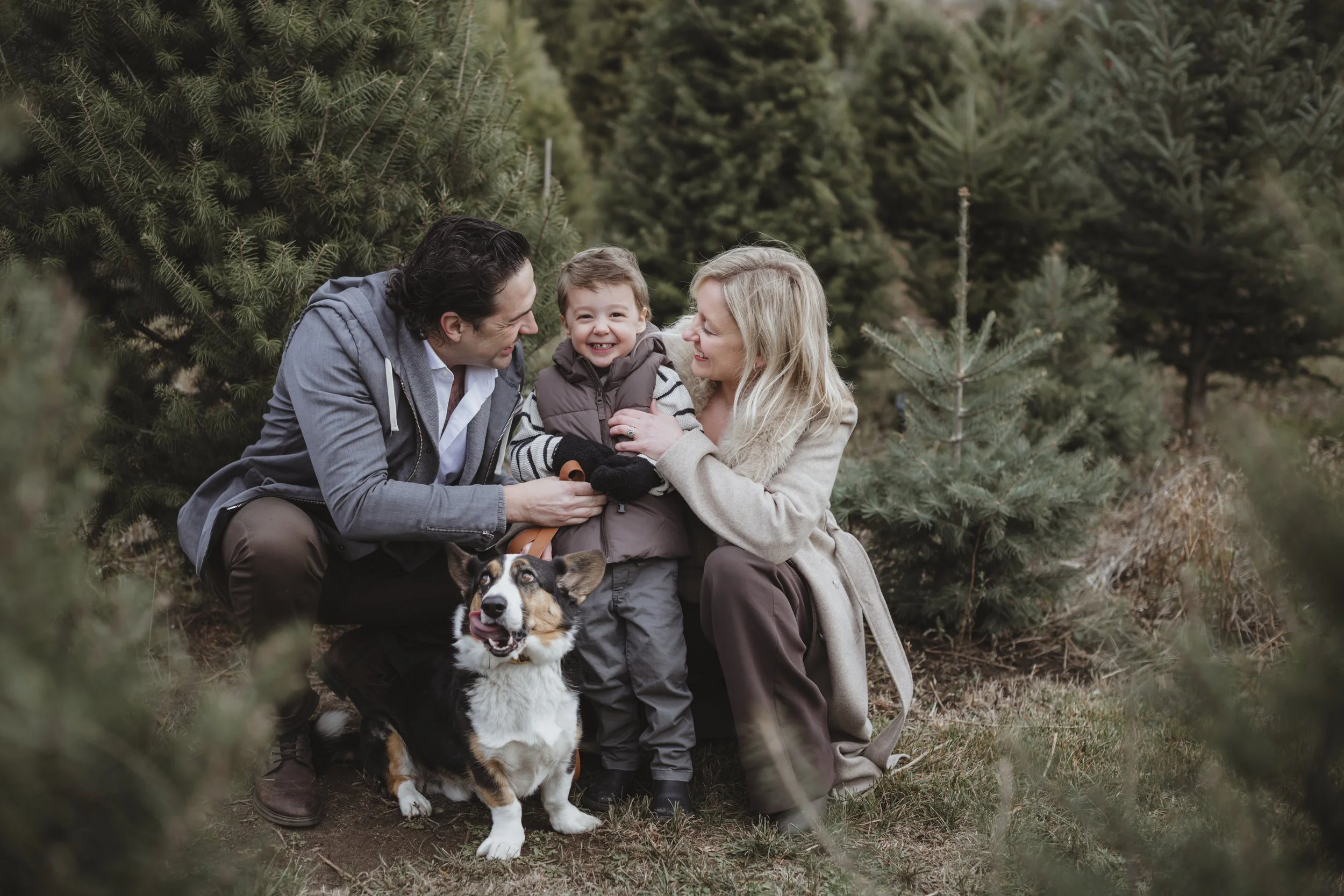 Holiday Mini Sessions