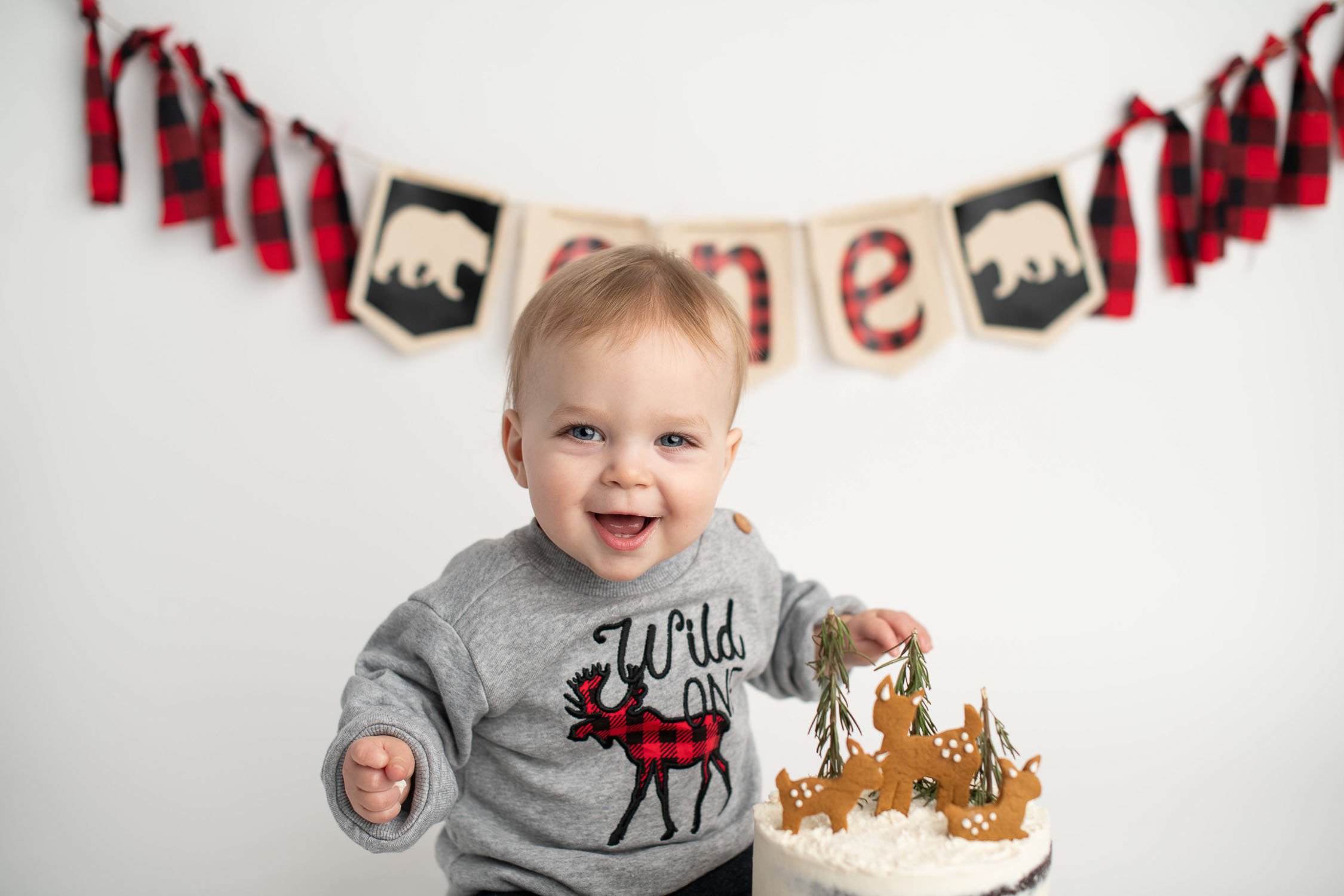 Kelowna Lake Country Okanagan Cake Smash Birthday Photographer
