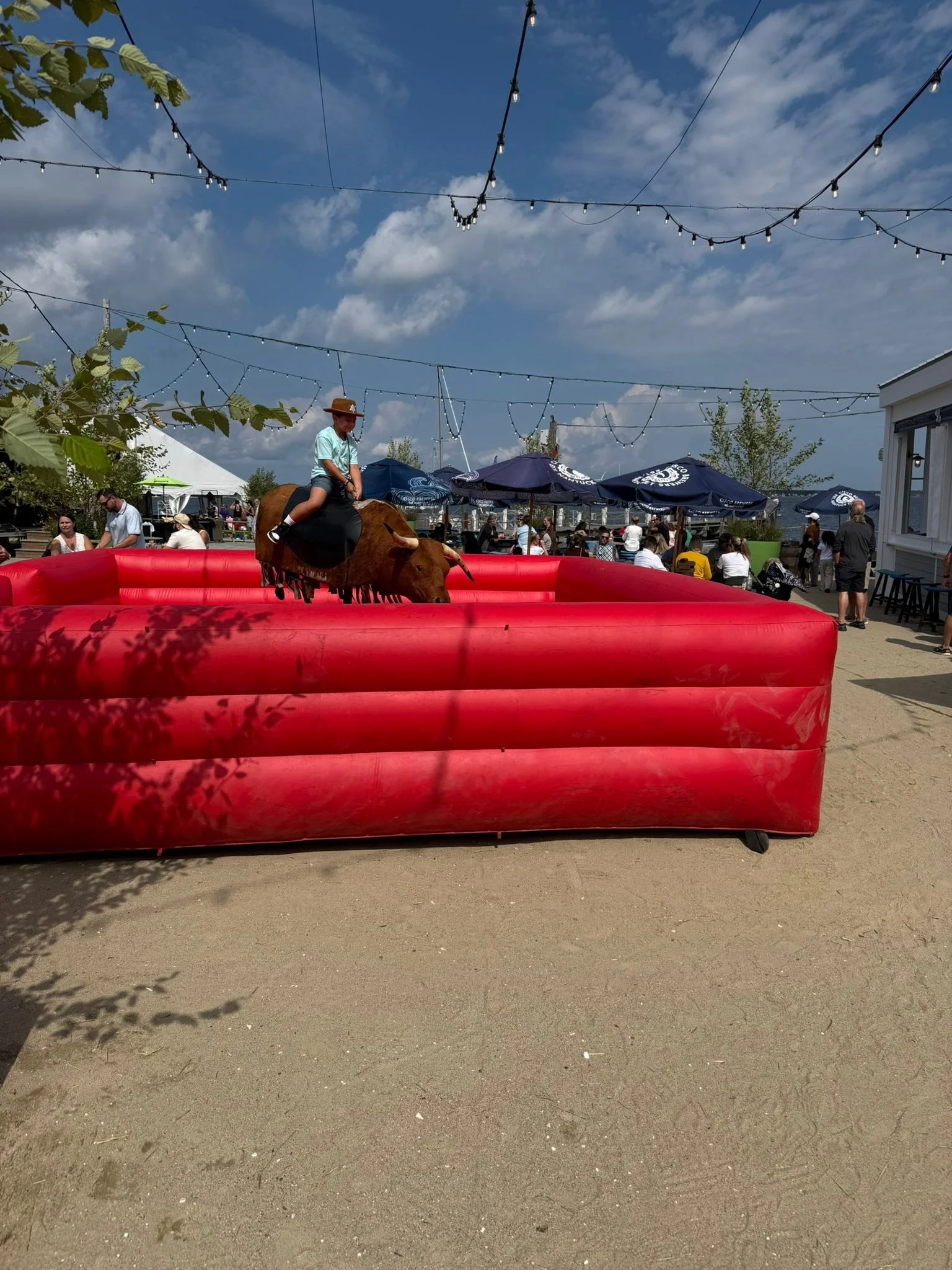 Whether you want to ride the bull or ride the wind.  Big fun at Cisco today.